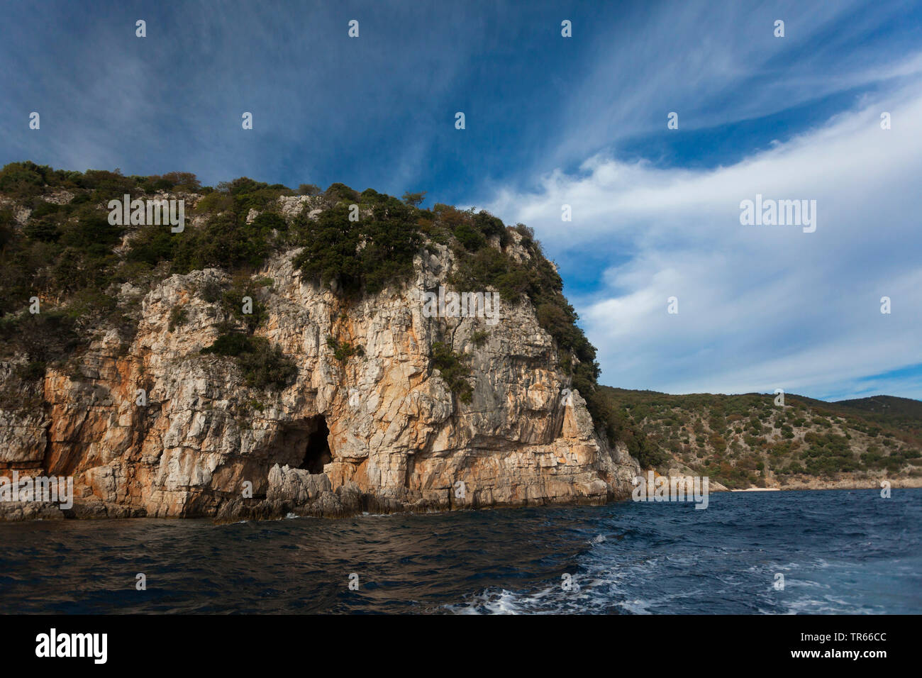 griffon vulture (Gyps fulvus), city of Beli, breeding rocks of vultures near sea, Tramontana range, Croatia, Cres Stock Photo