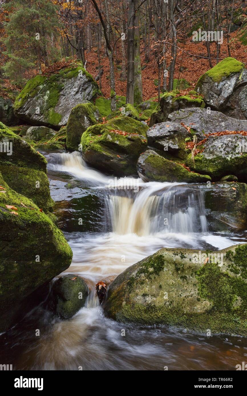 Steinklamm gorge in autumn, Germany, Bavaria, Bavarian Forest National Park, Spiegelau Stock Photo