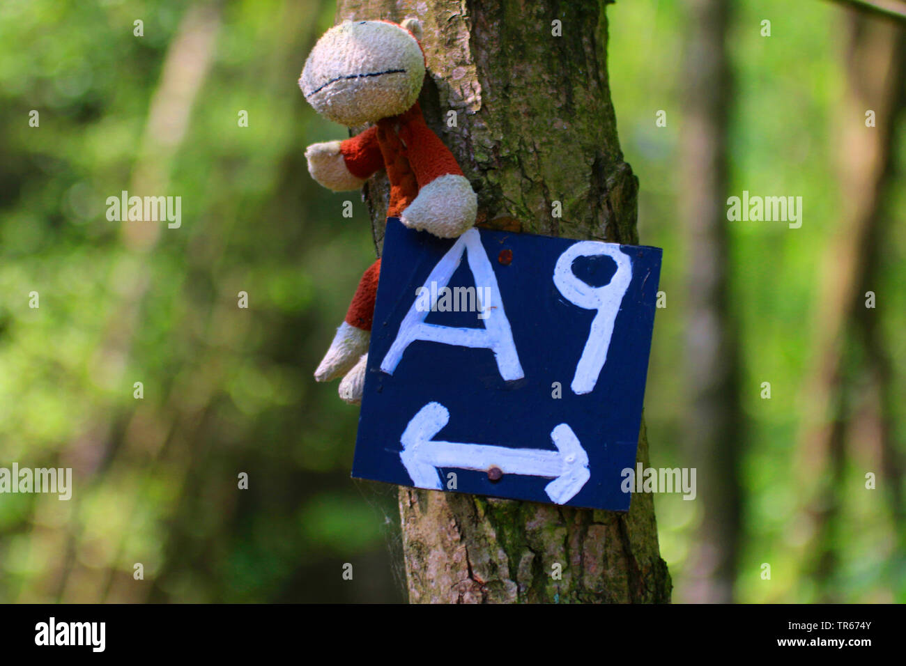 hiking sign with a cuddly toy, Germany Stock Photo