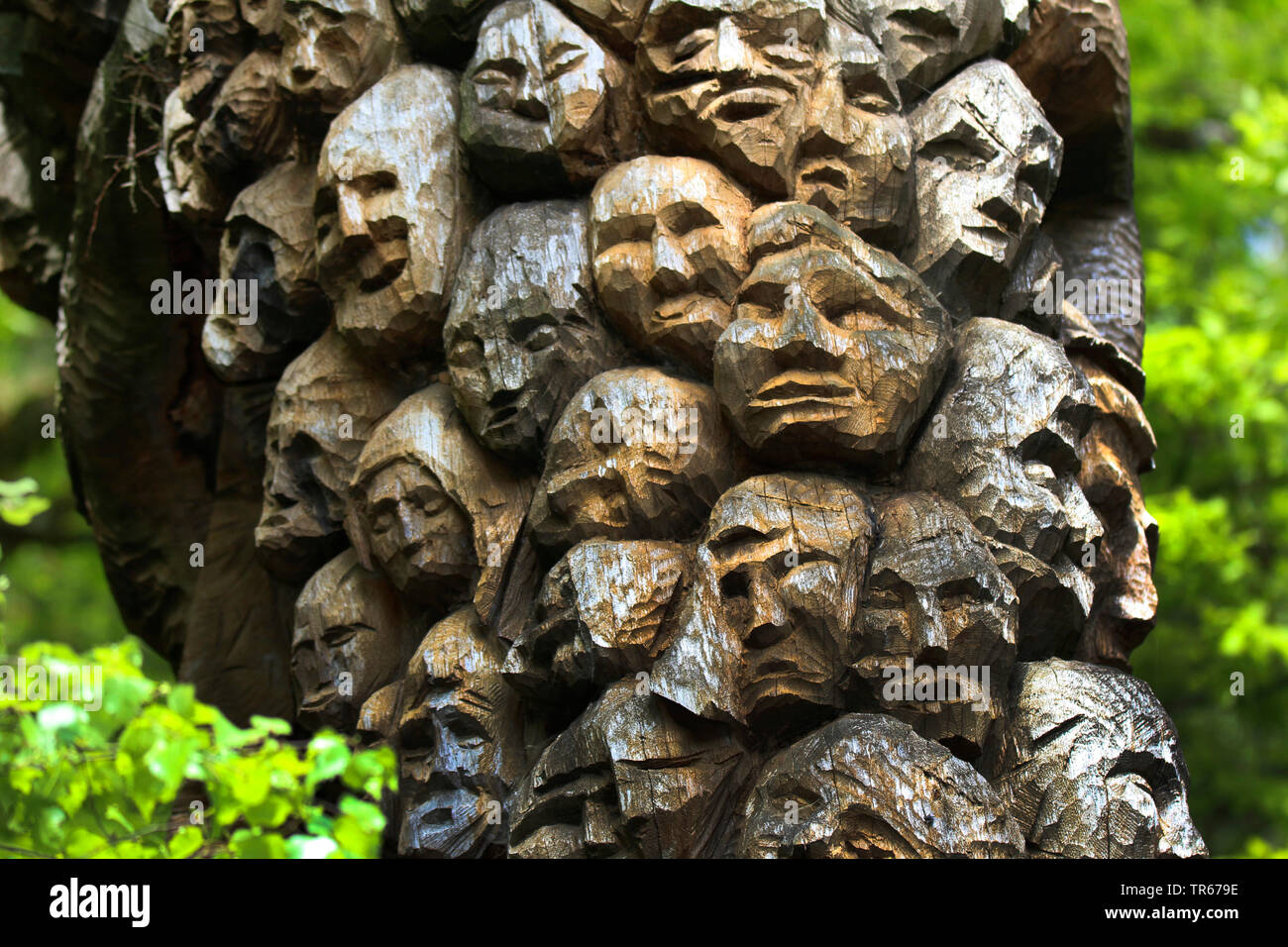 faces carved  in a tree trunk Stock Photo