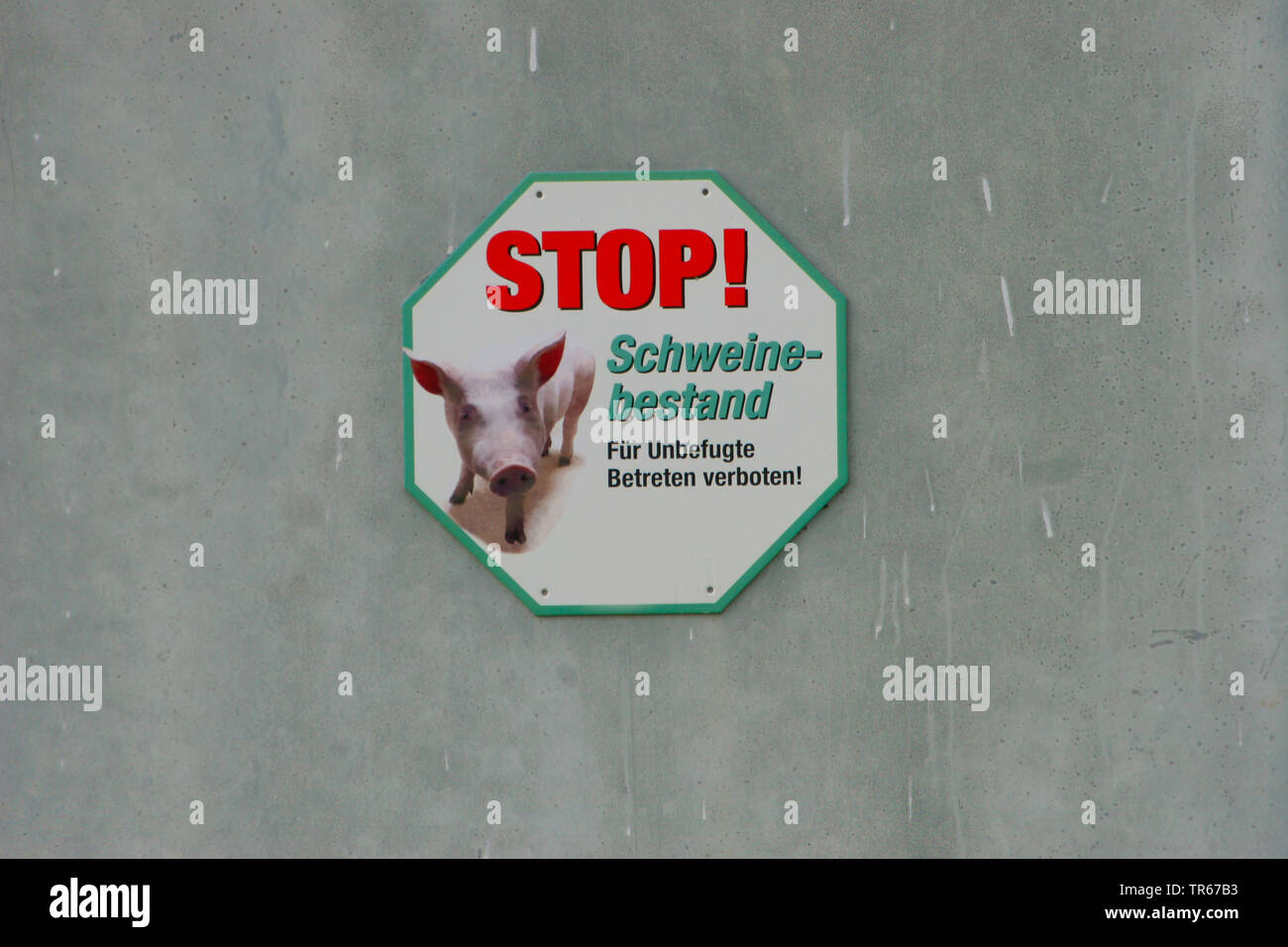 sign no entrance at a hog breeding company, swine fever, Germany Stock Photo