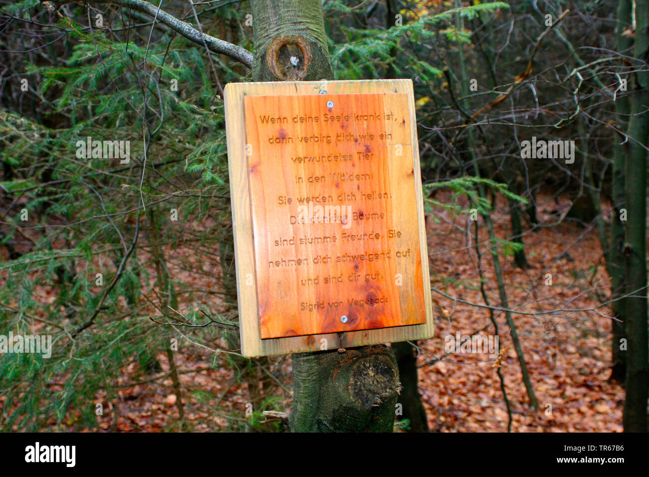 sign with text about the sence of a wood, Germany Stock Photo