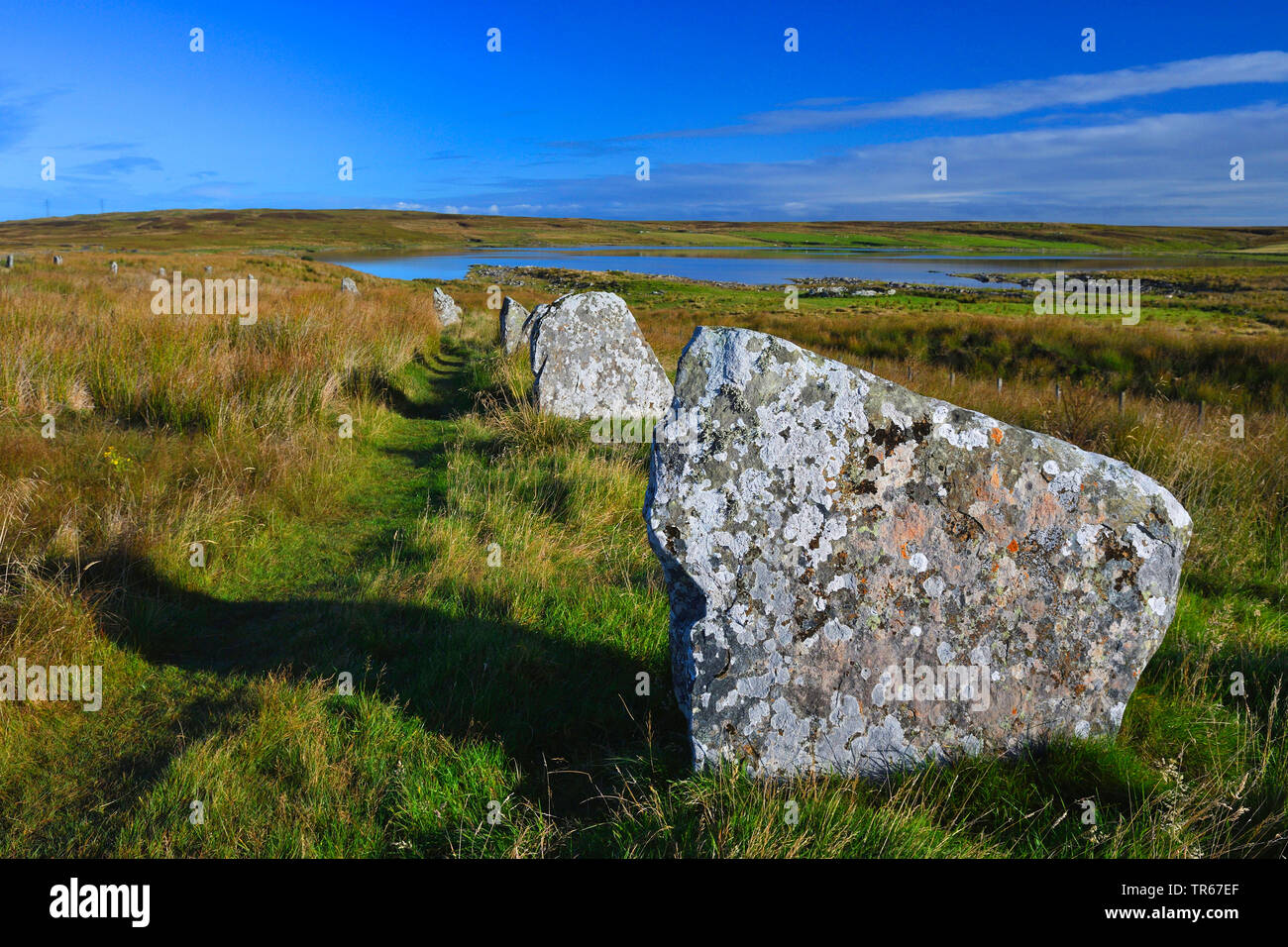 Achavanich stones, United Kingdom, United Kingdom, Scotland, Caithness Stock Photo