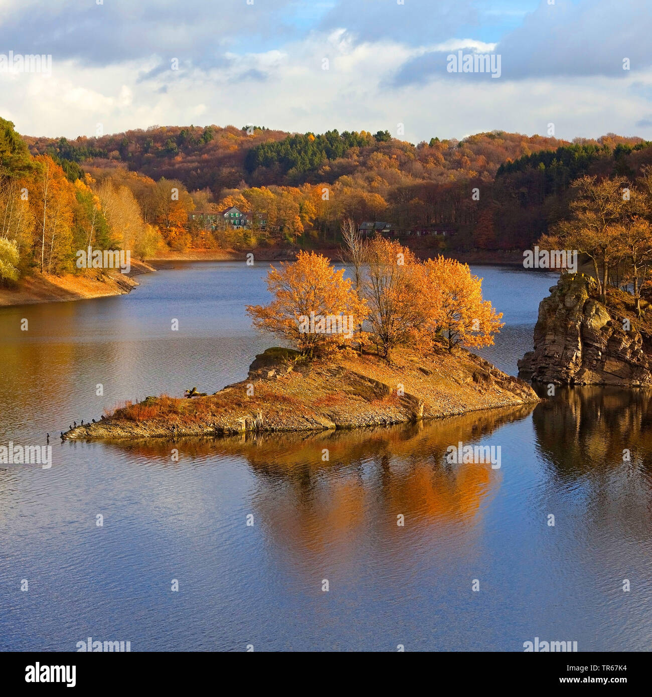 storage lake Wuppertalsperre in autumn, Germany, North Rhine-Westphalia, Bergisches Land, Remscheid Stock Photo