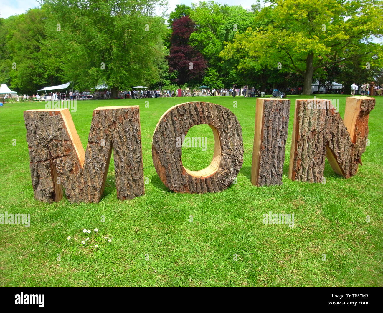 oak (Quercus spec.), the word Moin (Good morning) made from tree trunks, Germany Stock Photo