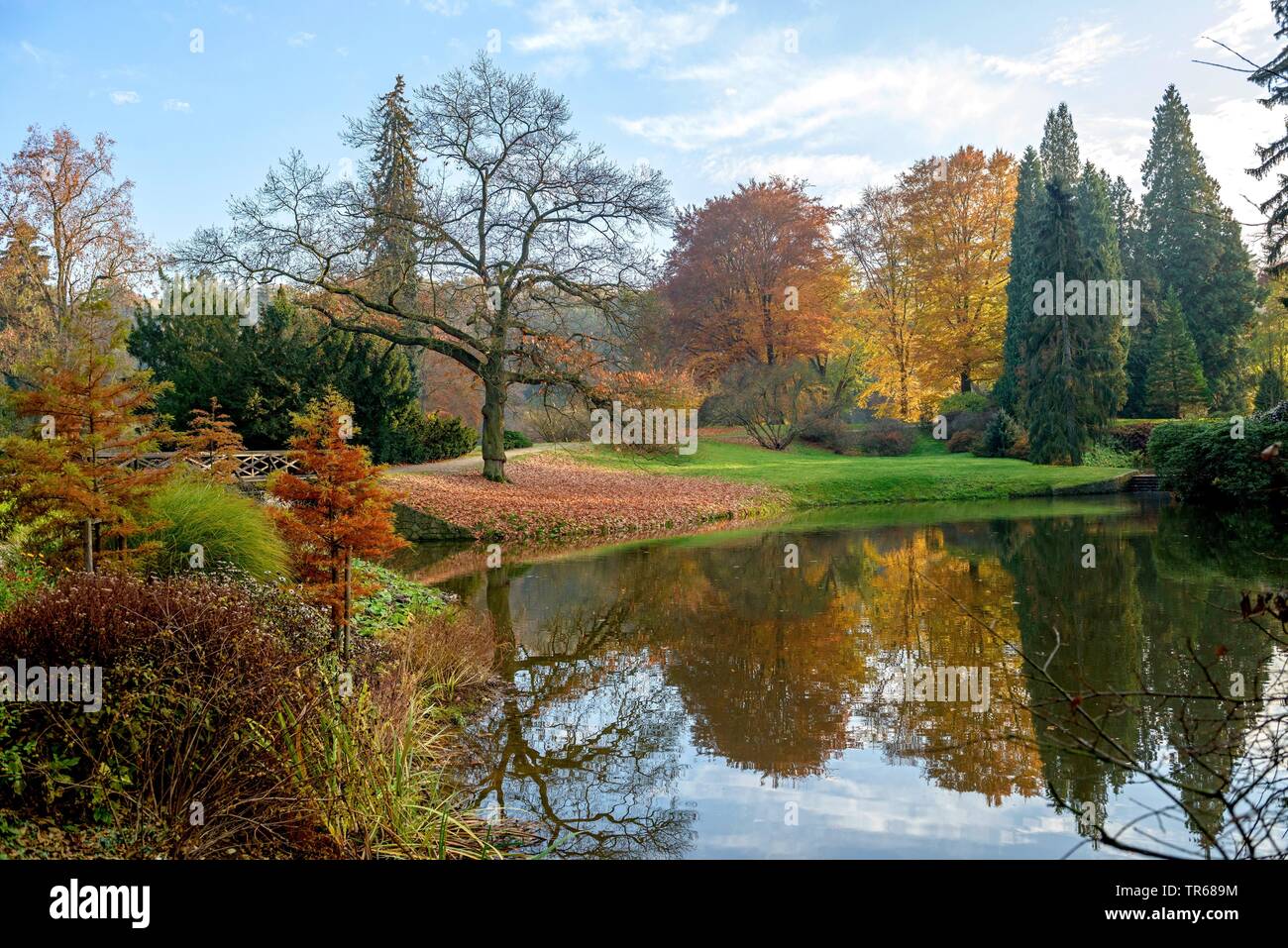 palace garden Pruhonice in autumn, Czech Republic, Prague Stock Photo