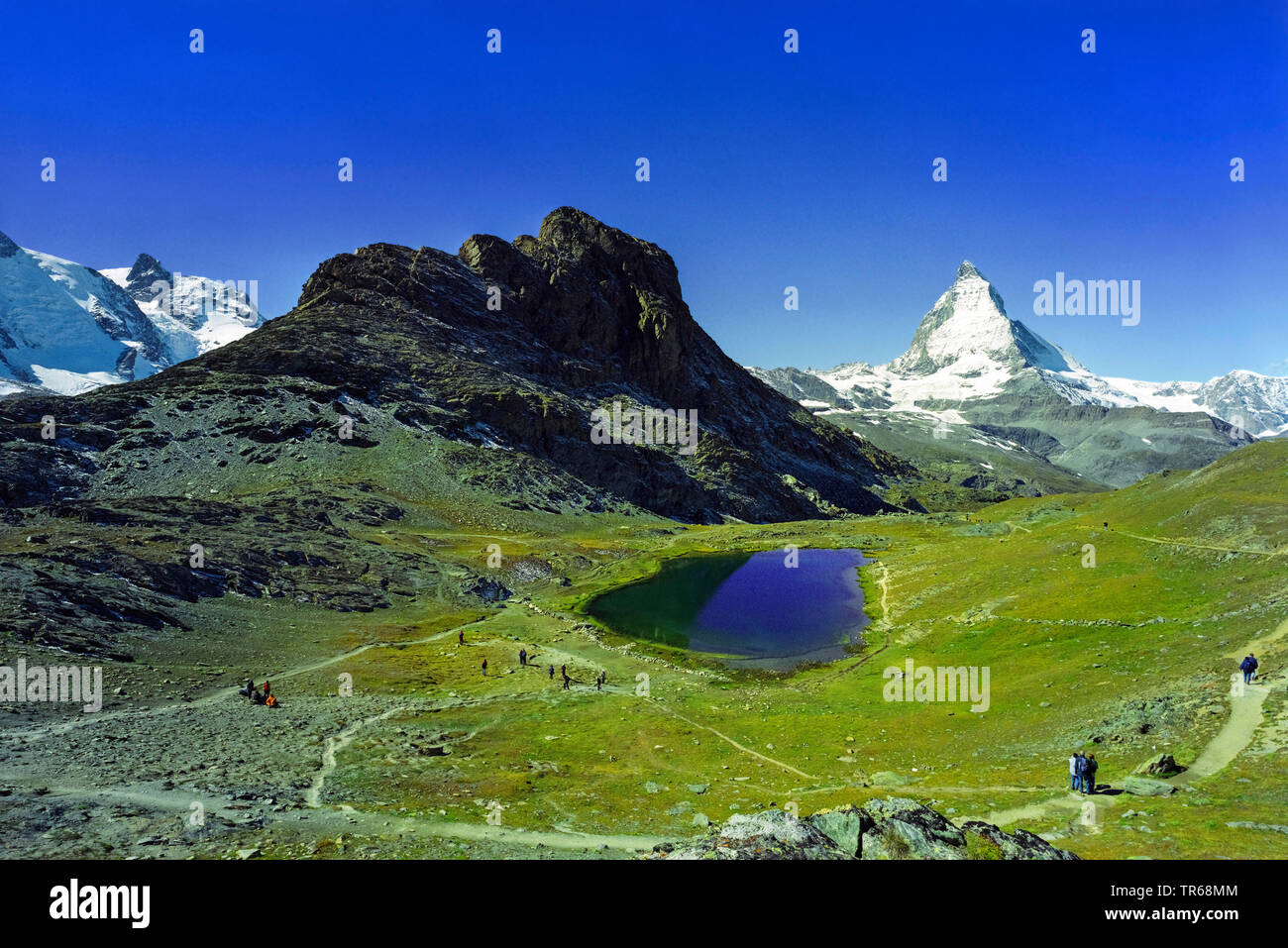 view over alpine lake Riffelsee to Matterhorn, Switzerland, Valais Stock Photo