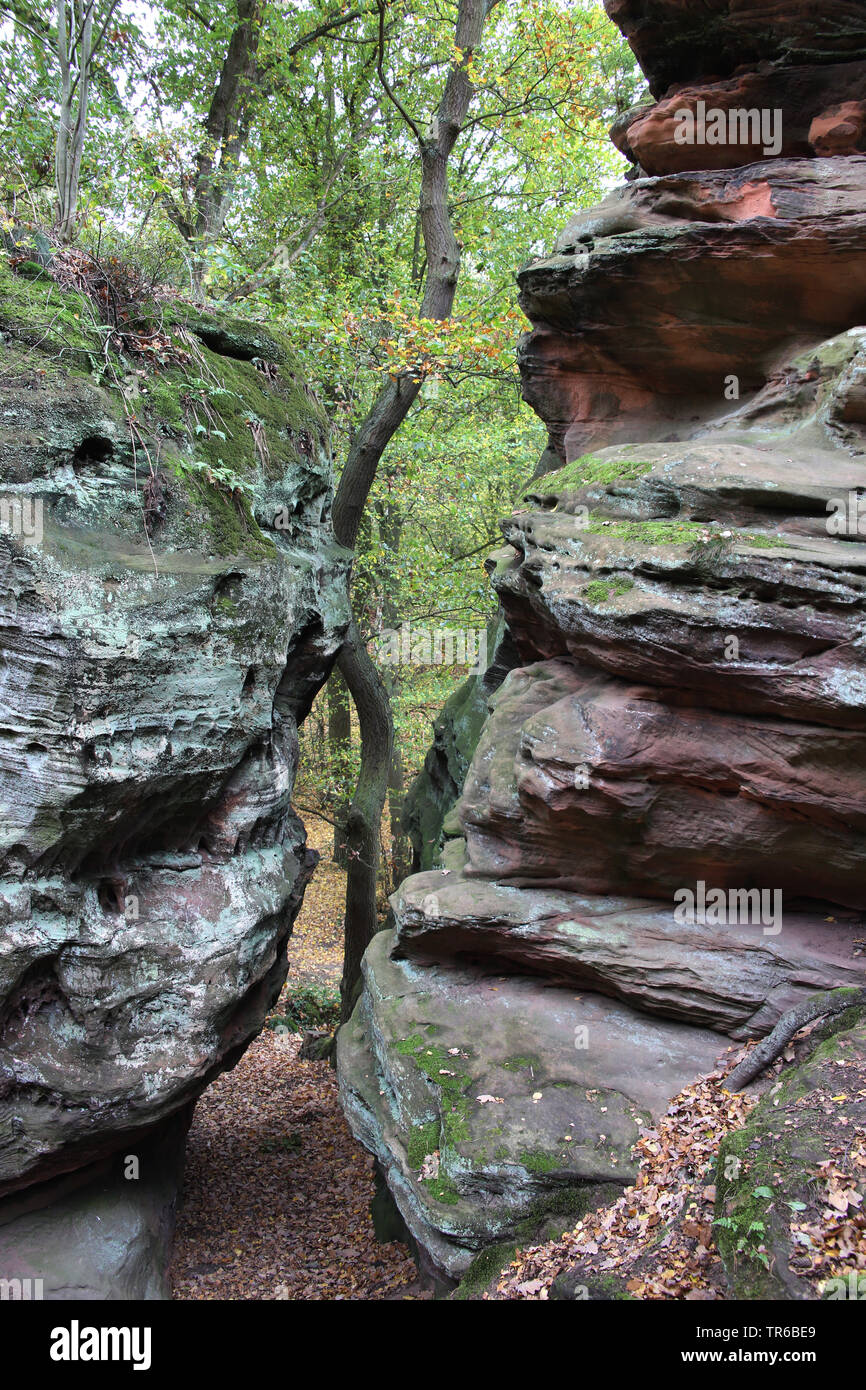 natural landmark Katzensteine, Germany, North Rhine-Westphalia, Katzvey, Mechernich Stock Photo