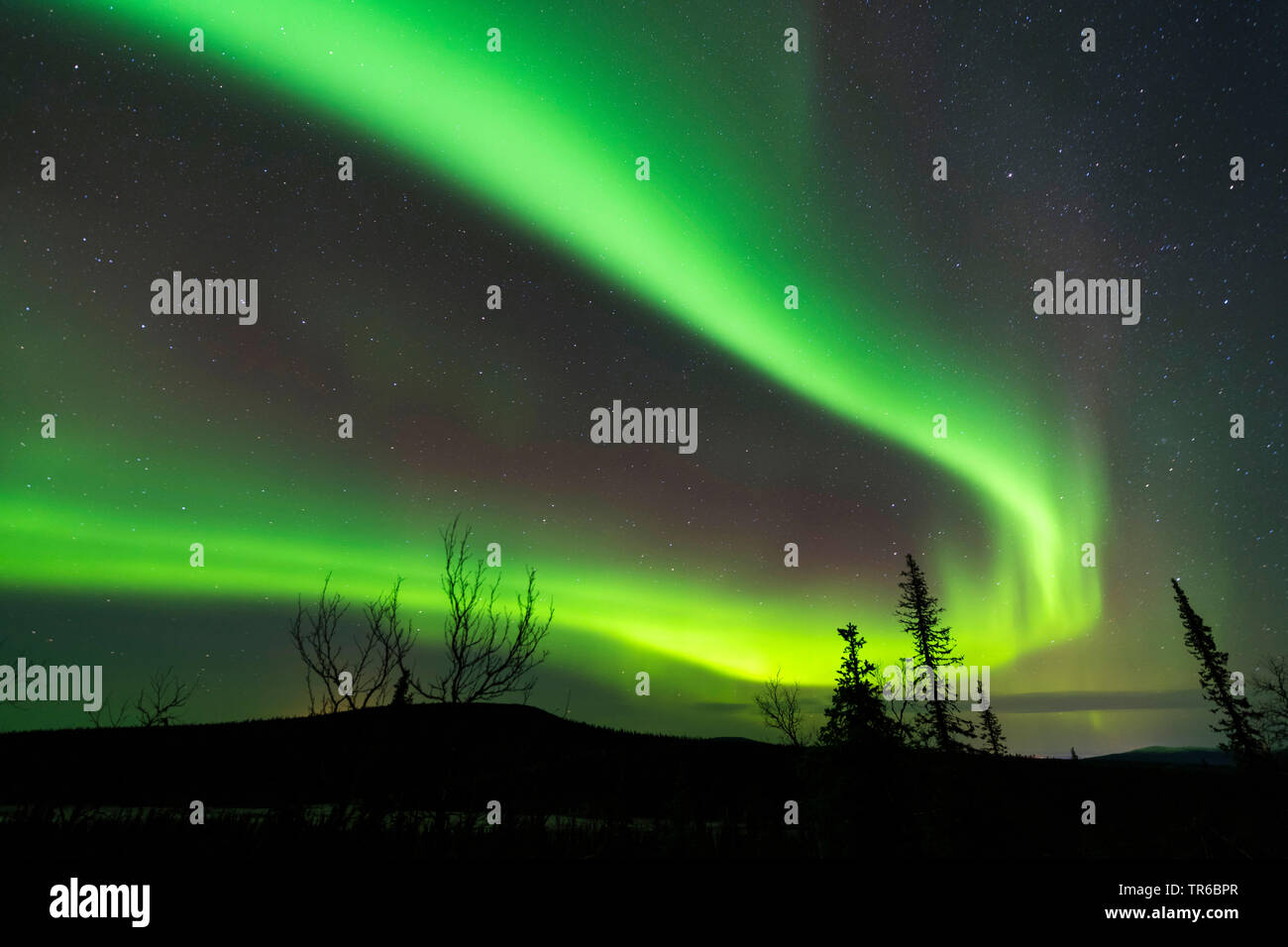 aurora borealis, Sweden, Lapland, Norrbotten Stock Photo