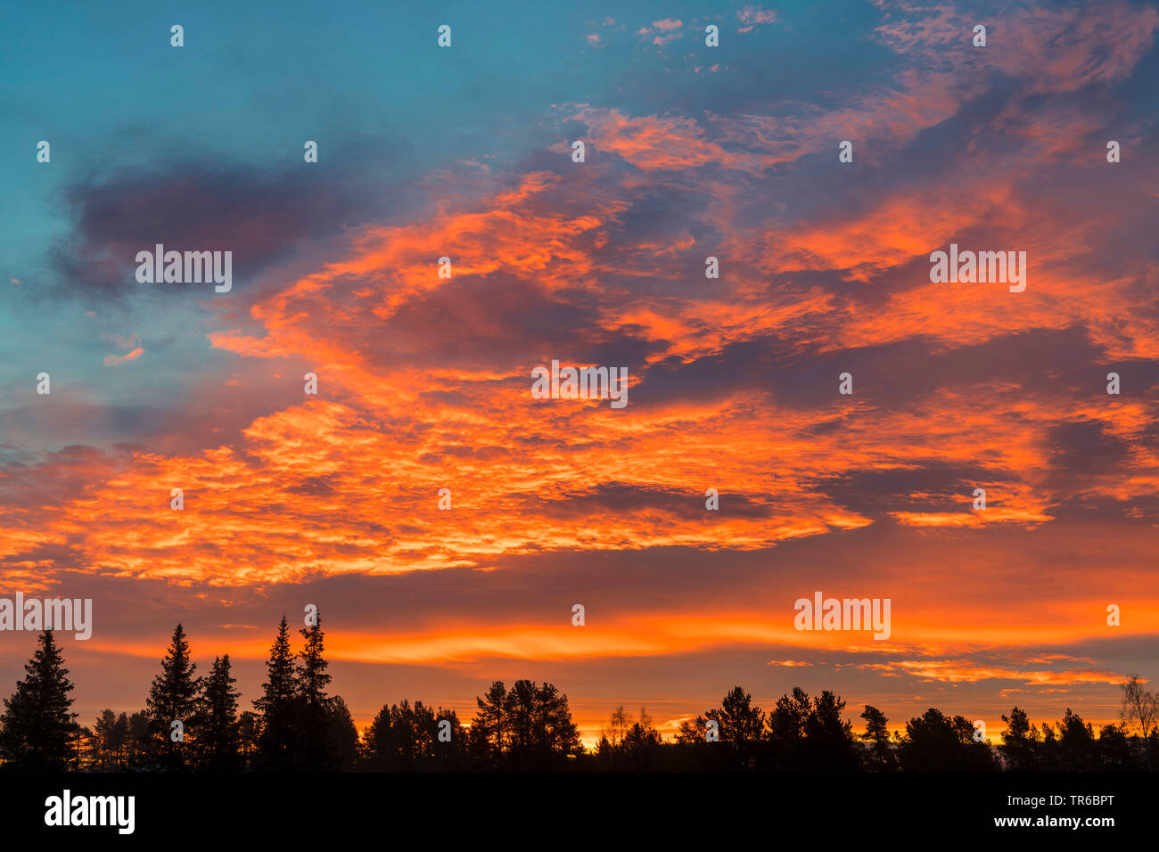 morning mood in Gaellivare, Sweden, Lapland, Norrbotten Stock Photo