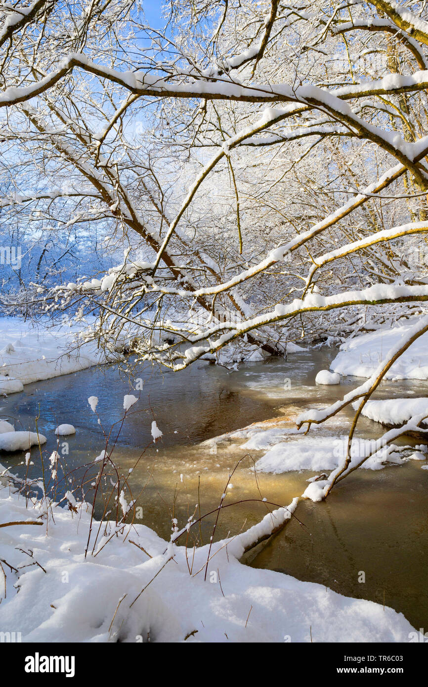 creek in winter, Germany, Schleswig-Holstein Stock Photo