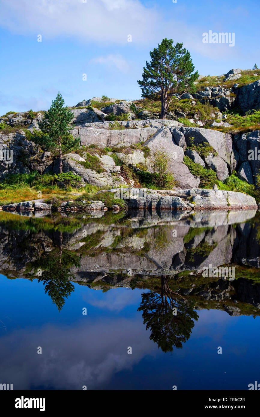 rocks and lake on the way to Preikestolen, Norway, Rogaland, Ryfylke Stock Photo