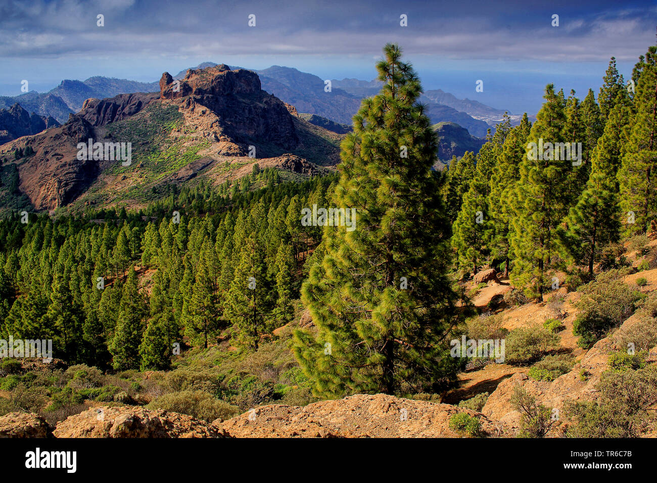 Mountain Scenery Monumento Natural Del Roque Nublo Canary Islands mountain-scenery-monumento-natural-del-roque-nublo-canary-islands