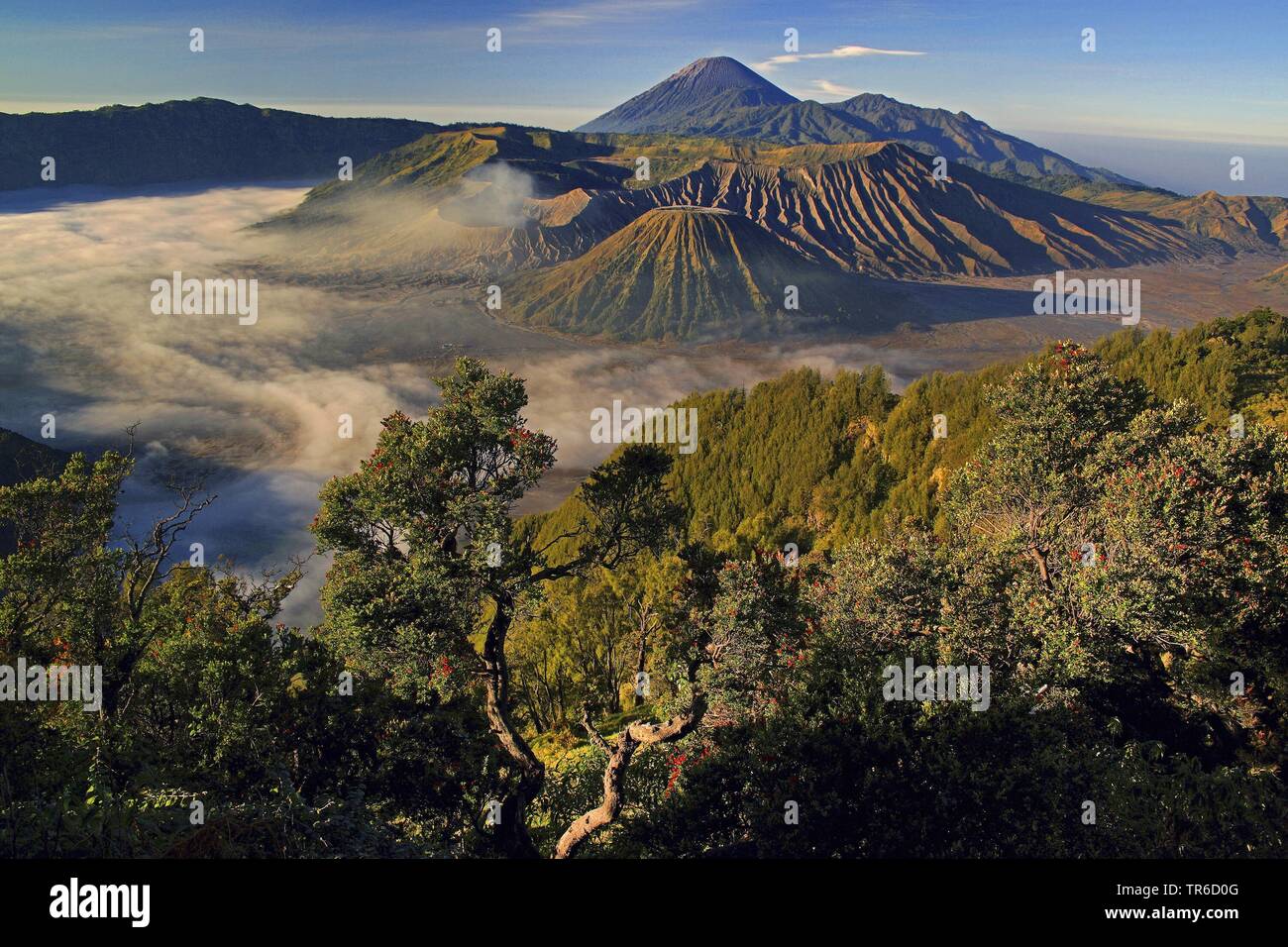 view of volcanoes Bromo, Batok and Semeru, Indonesia, Java, Bromo Tengger Semeru National Park Stock Photo