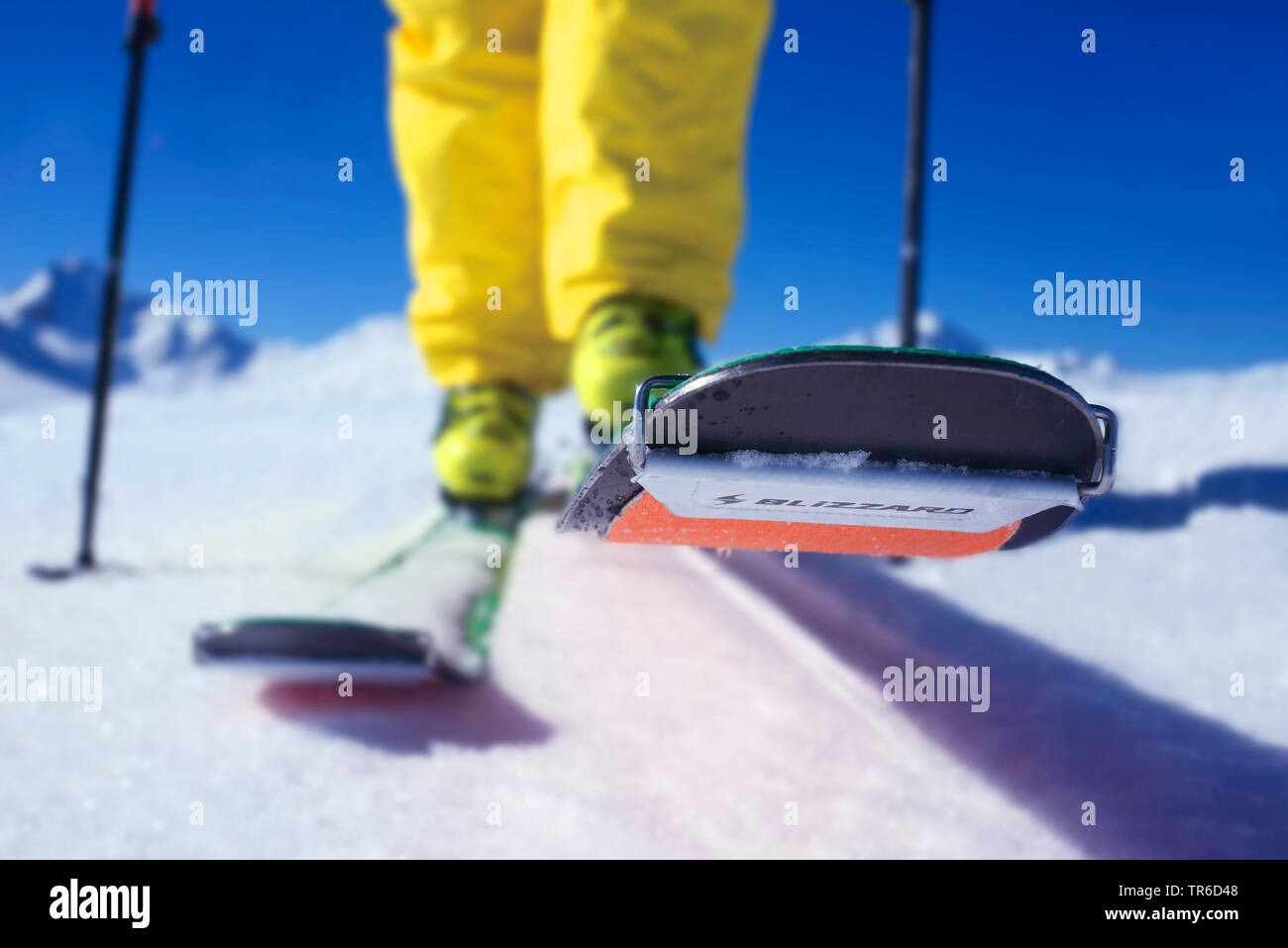 Ski skins hi-res stock photography and images - Alamy