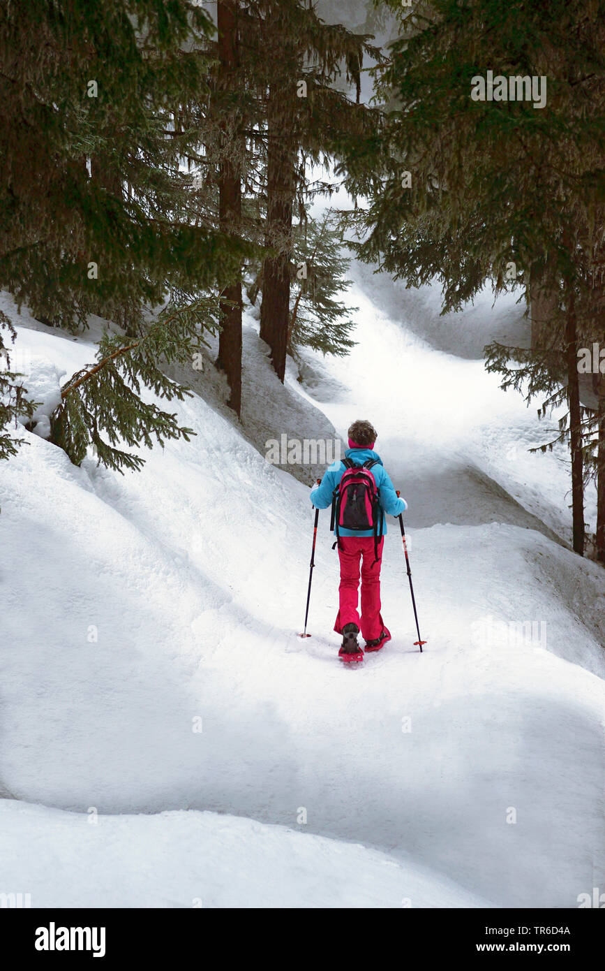 snowshoeing in the snowy wood, France, Savoie, Sainte Foy Tarentaise Stock Photo