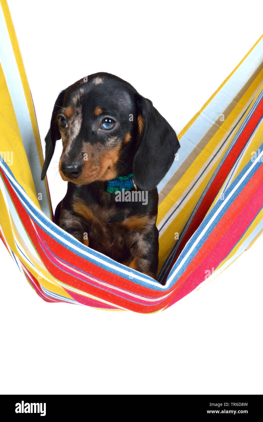 Necklaces Cut Out Hi Res Stock Photography And Images Alamy Necklaces Cut Out Hi Res Stock Photography And Images Alamy