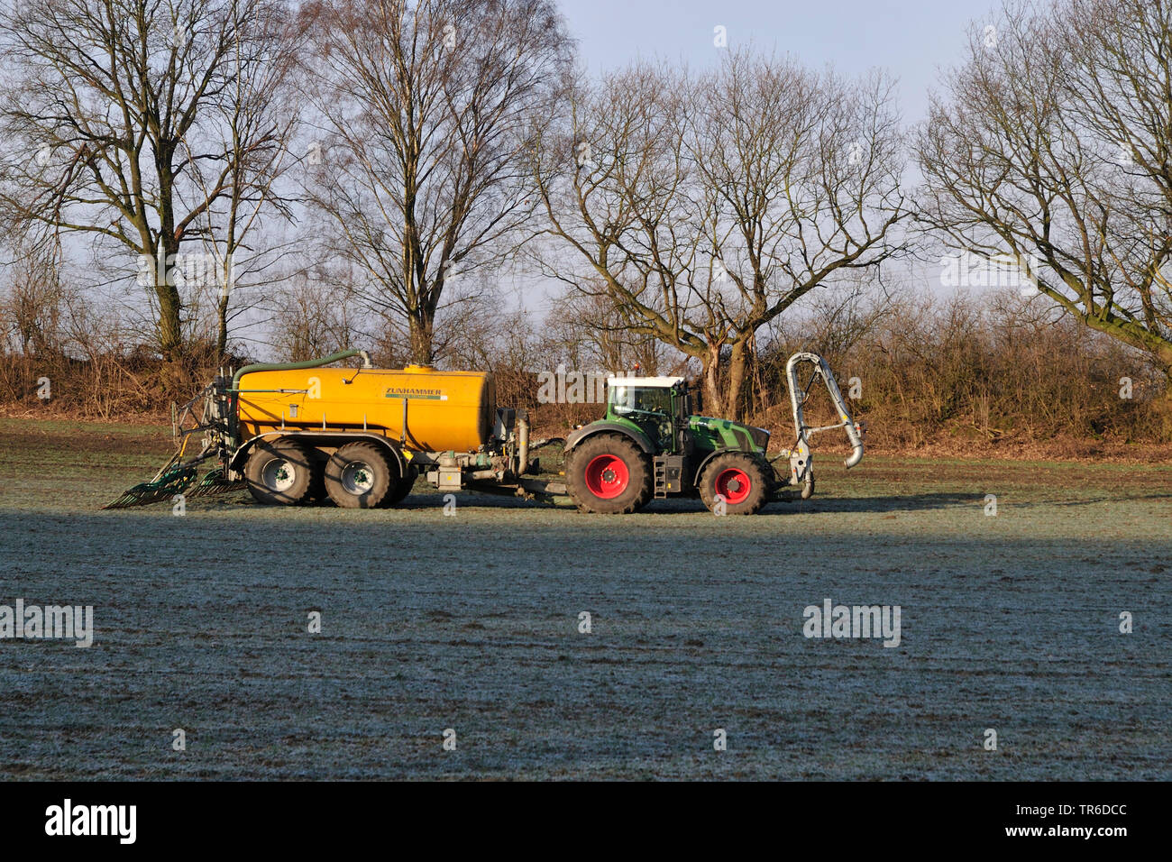 farmer spreading liquid manure in spring, Germany, North Rhine-Westphalia Stock Photo