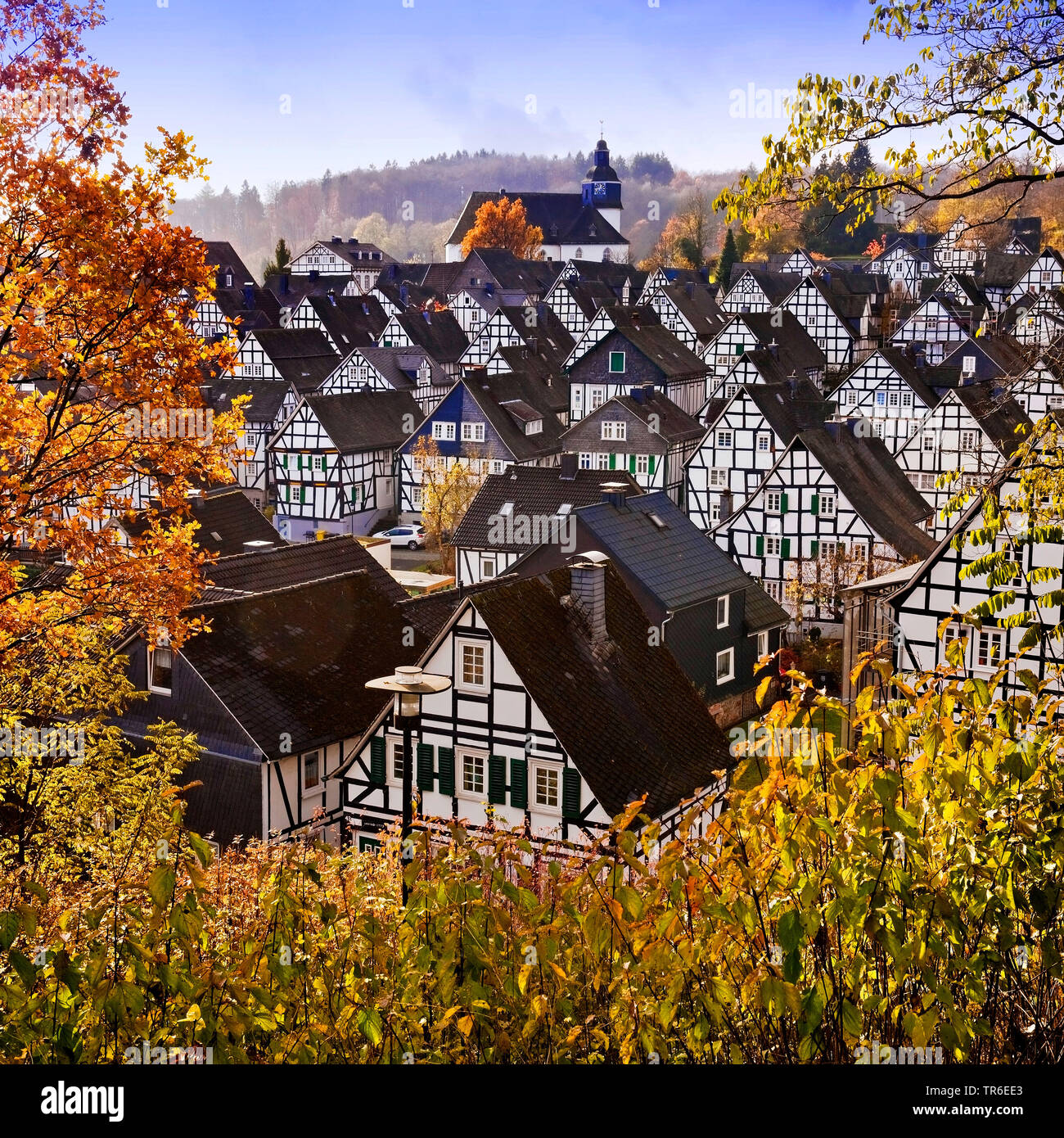 historical old city of Freudenberg in autumn, Germany, North Rhine-Westphalia, Siegerland, Freudenberg Stock Photo