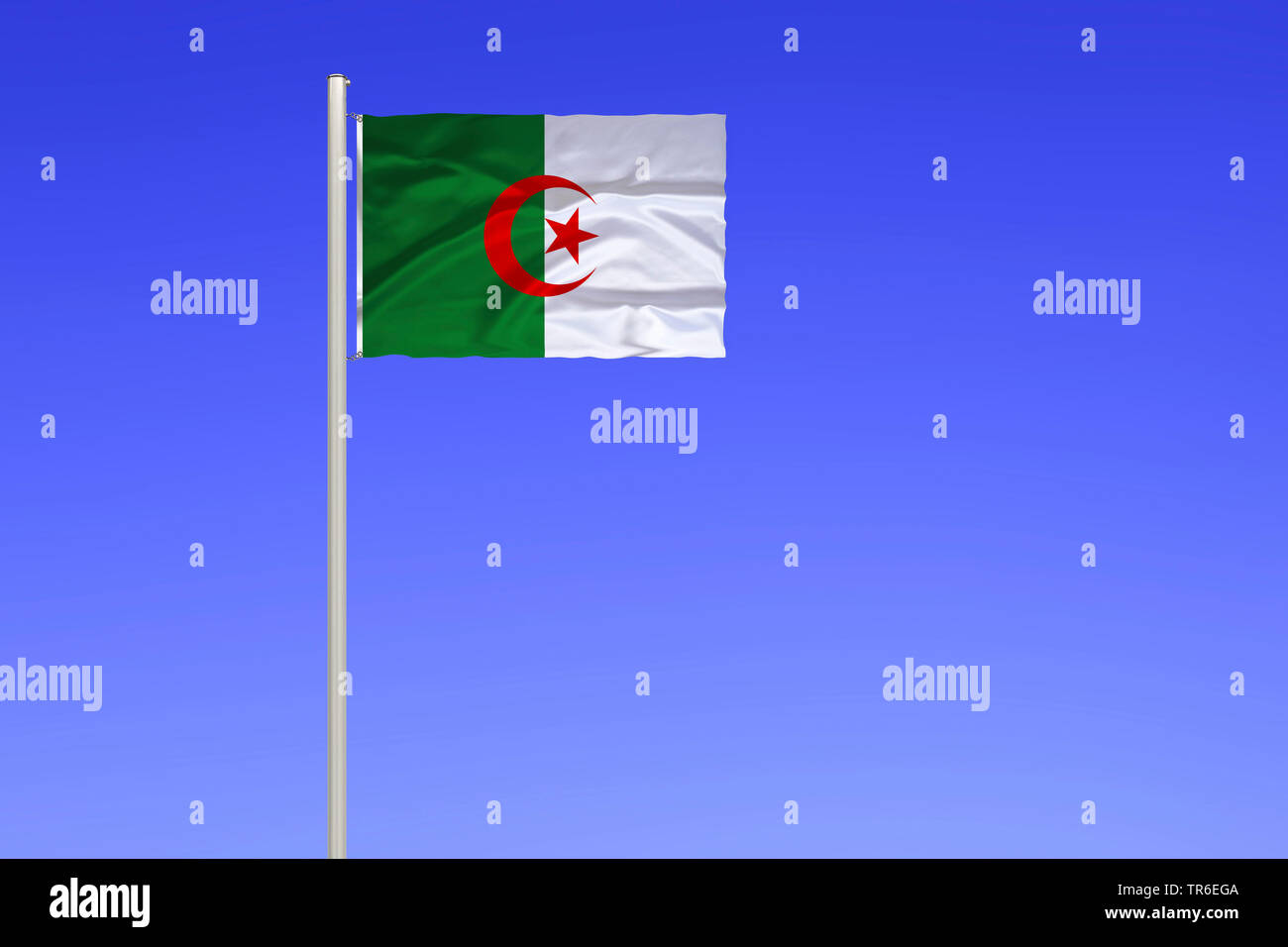 flag of Algeria against blue sky, Algeria Stock Photo