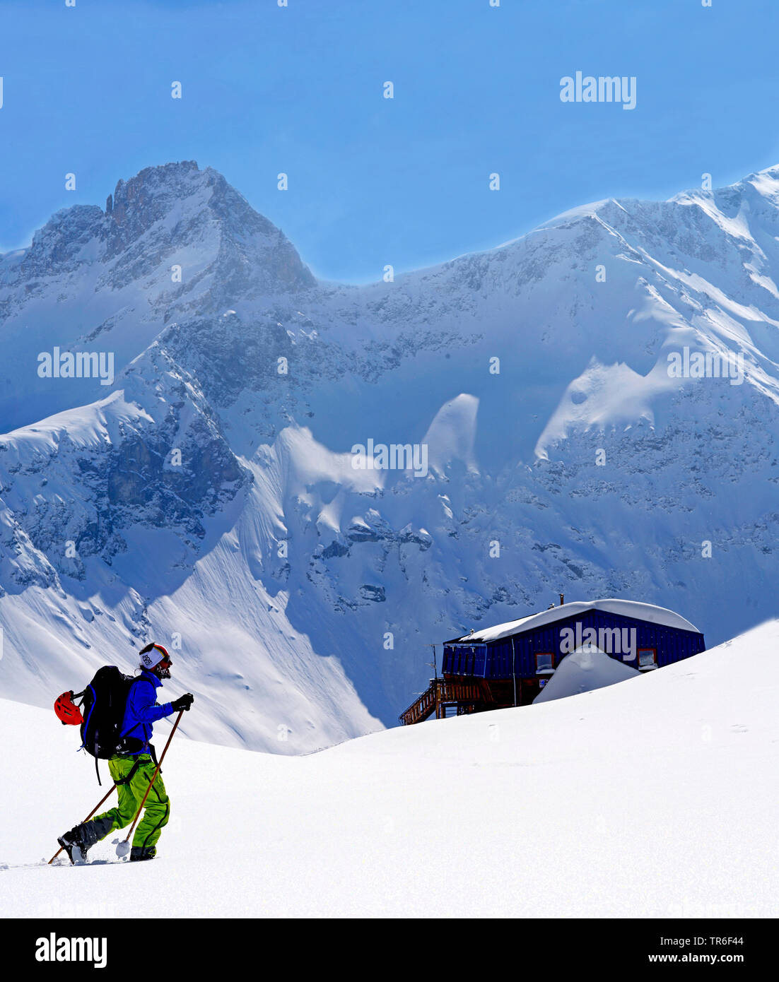 ski touring to the top of Mont Pourri, France, Savoie, Les Arcs Stock Photo