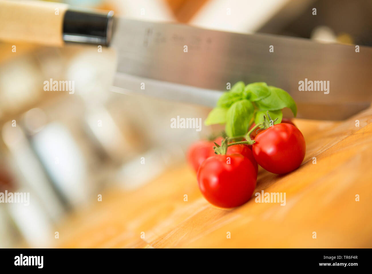 garden tomato (Solanum lycopersicum, Lycopersicon esculentum), cocktail tomatoes with tulsi and kitchen knife on a wooden board, Germany Stock Photo