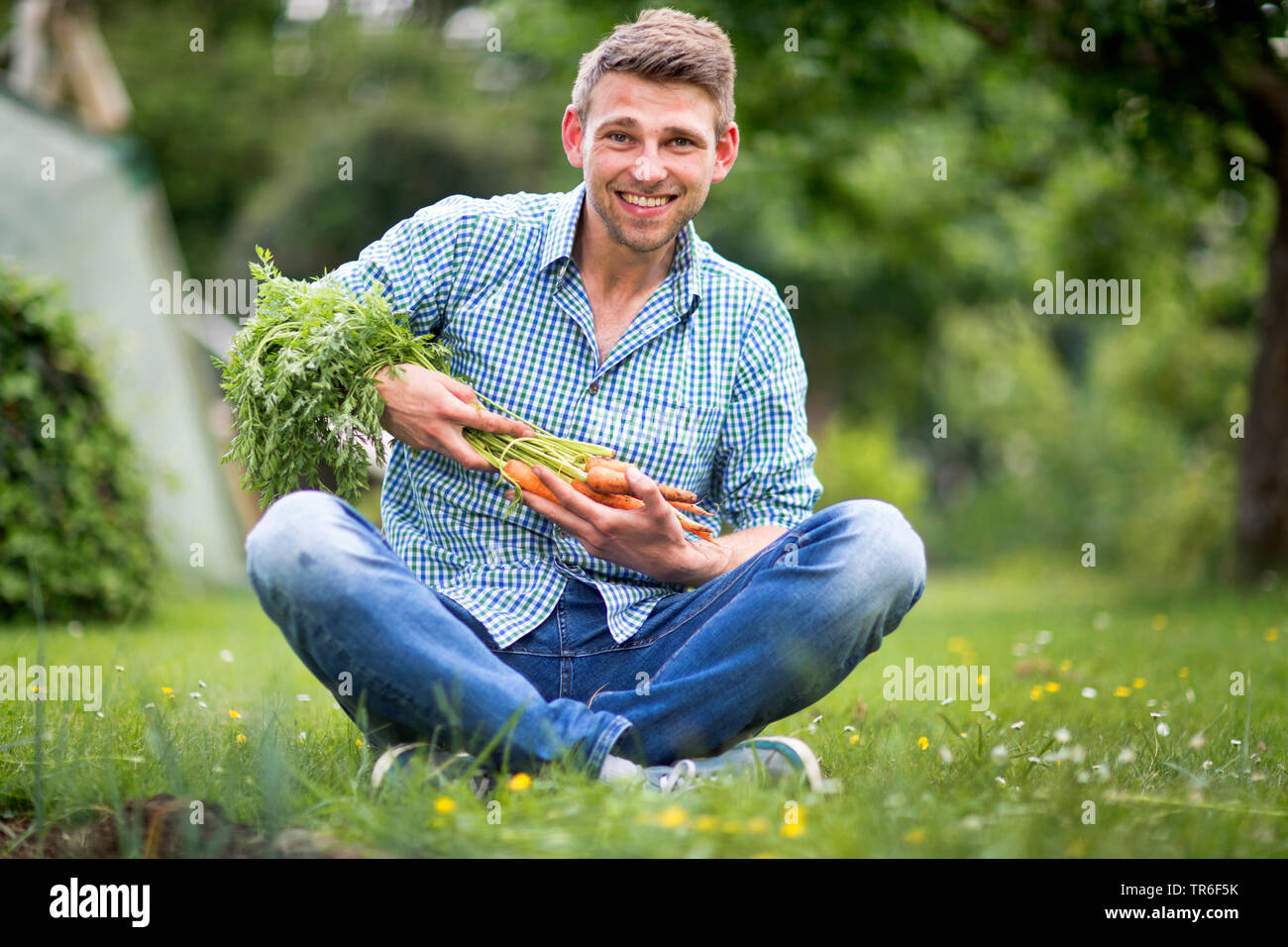 man with freshly harvested bunch of carrots sitting on a lawn, Germany Stock Photo