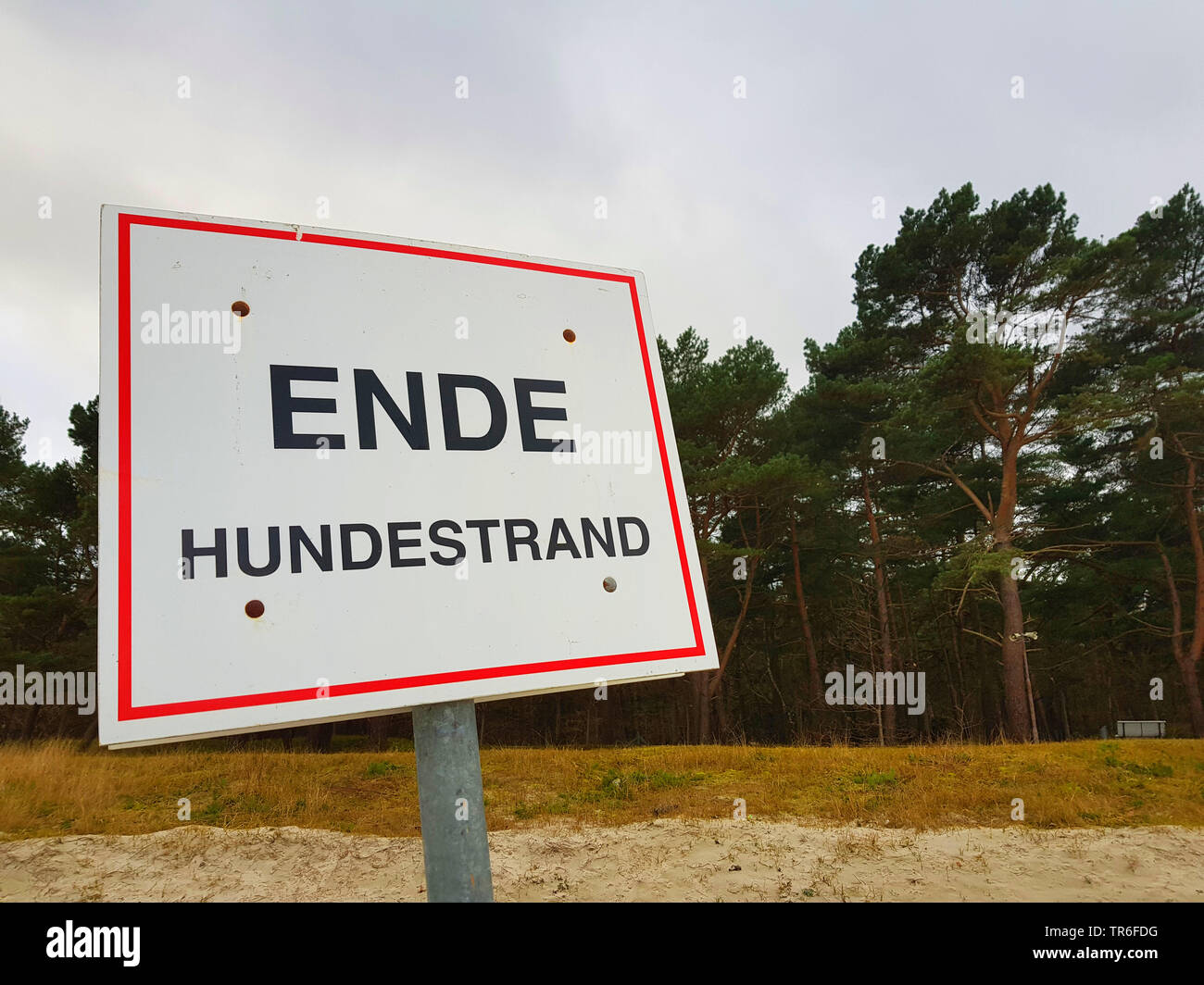 sigh end of dog's beach, Germany, Mecklenburg-Western Pomerania, Ruegen Stock Photo