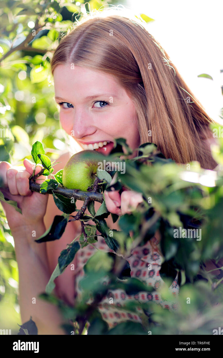apple tree (Malus domestica), young woman biting in an apple at an apple tree, half-length portrait, Germany Stock Photo