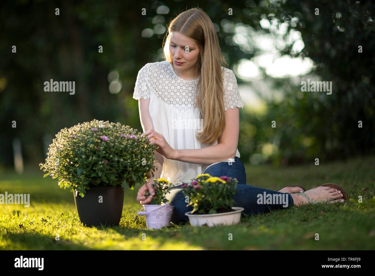 young blond woman sitting with asters on a lawn, Germany Stock Photo