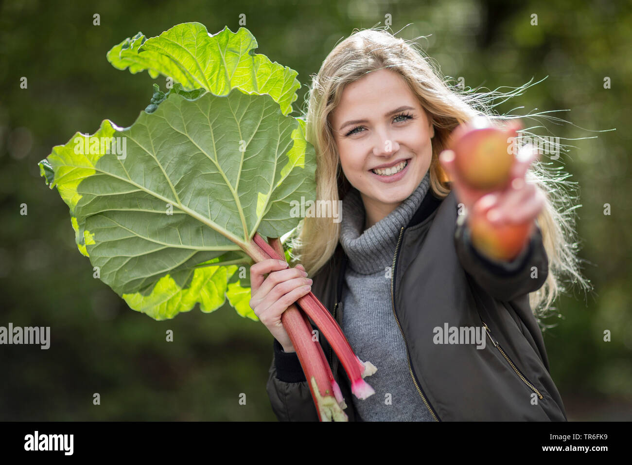rhubarb (Rheum rhabarbarum), young blond woman with fresh picked rhubarb and apples, Germany Stock Photo