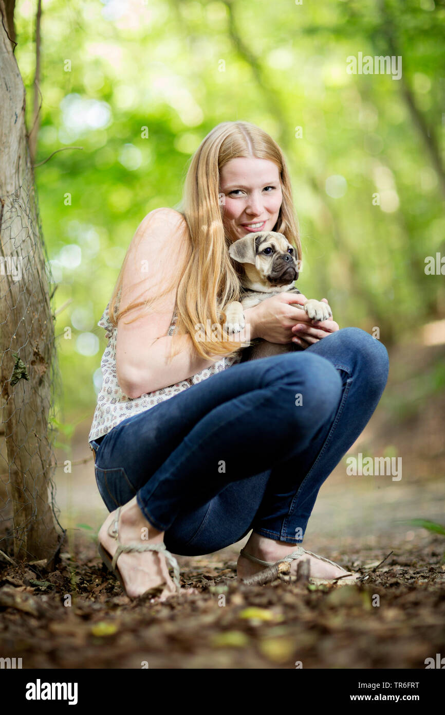 domestic dog (Canis lupus f. familiaris), crouching young woman holding a cute Puggle on the lap, Germany Stock Photo