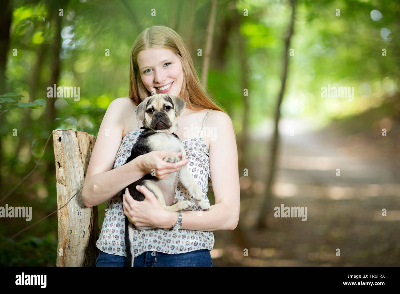 domestic dog (Canis lupus f. familiaris), young woman holding a cute Puggle on arm, Germany Stock Photo