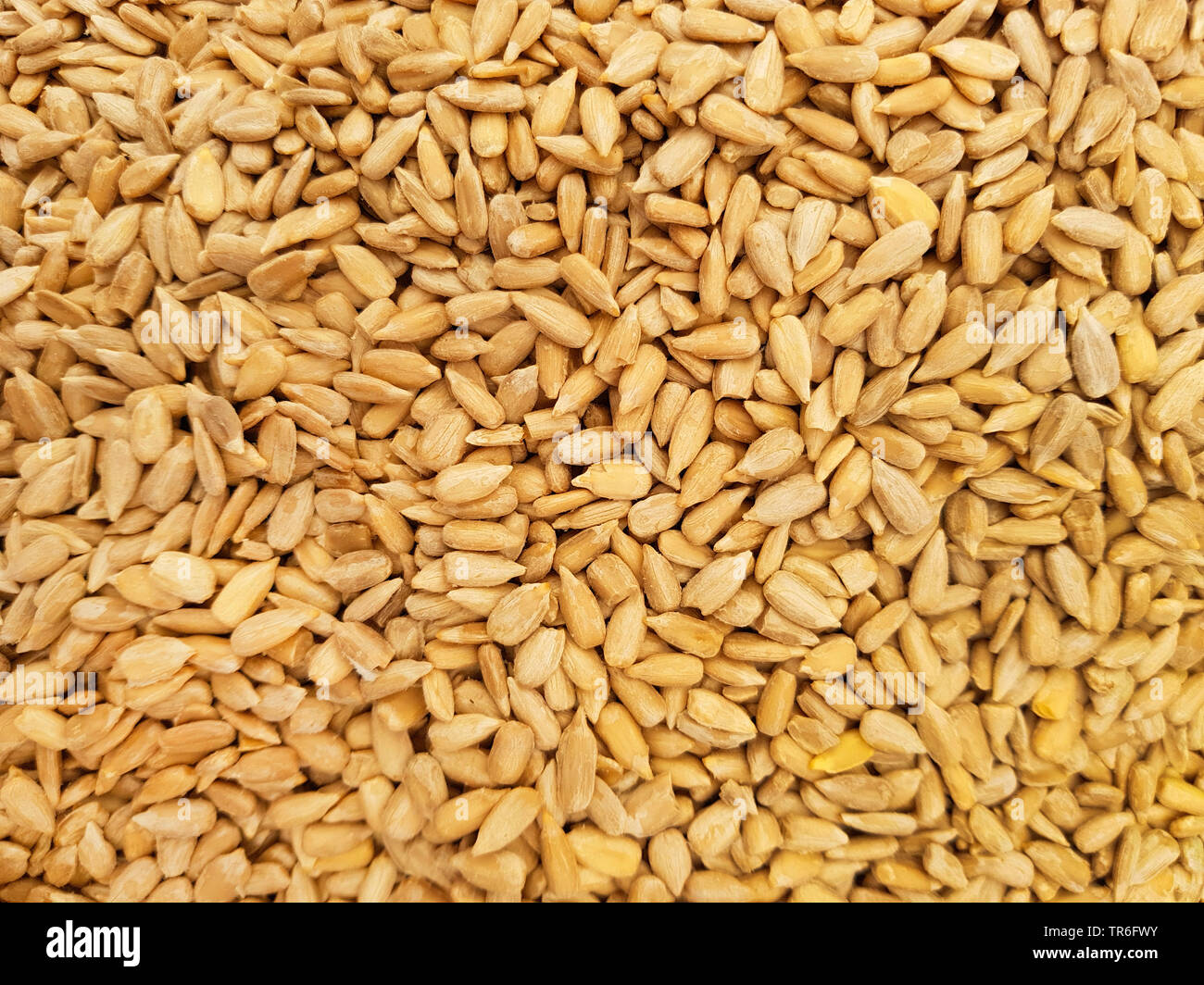 Plant seeds spanish market hires stock photography and images Alamy