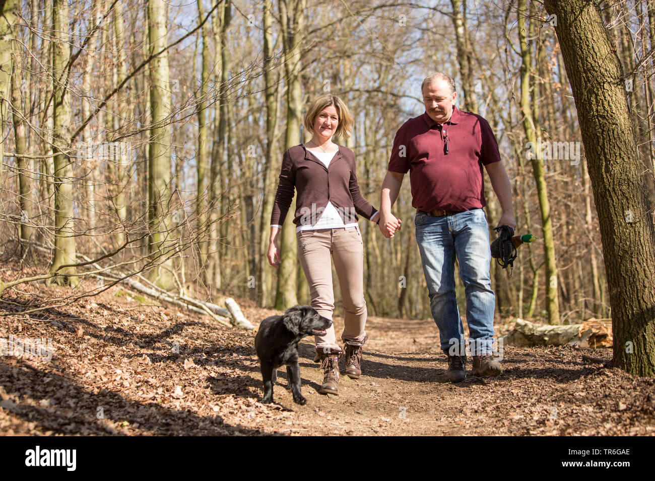 Flat Coated Retriever (Canis lupus f. familiaris), couple with dog walking through the forest, Germany Stock Photo