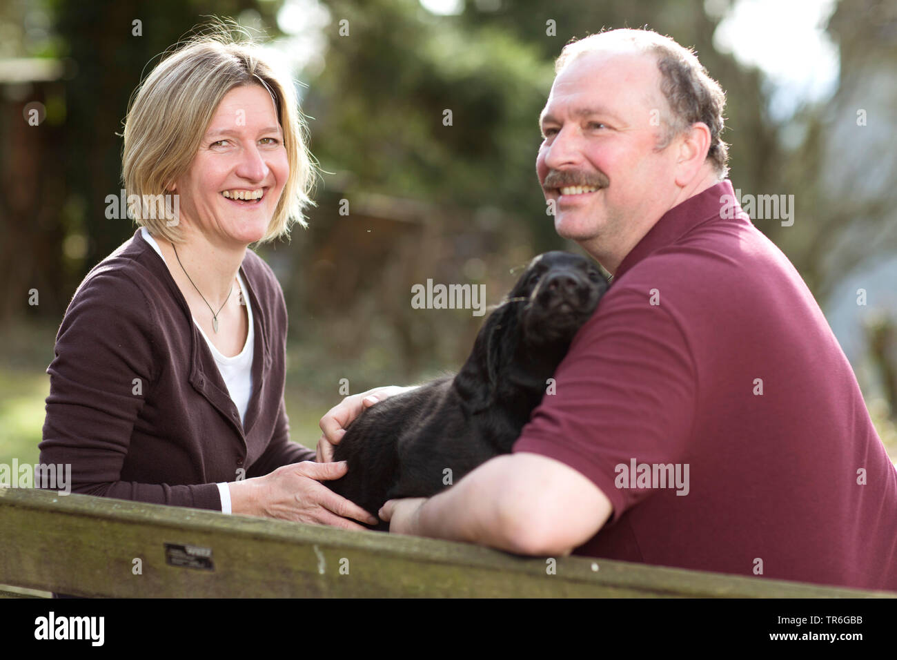 Flat Coated Retriever (Canis lupus f. familiaris), couple with young dog sitting on a bench in the forest, Germany Stock Photo