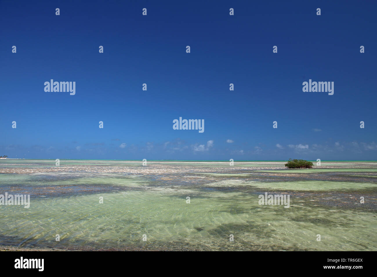shallow waters of Cayo Guillermo, Cuba, Cayo Guillermo Stock Photo