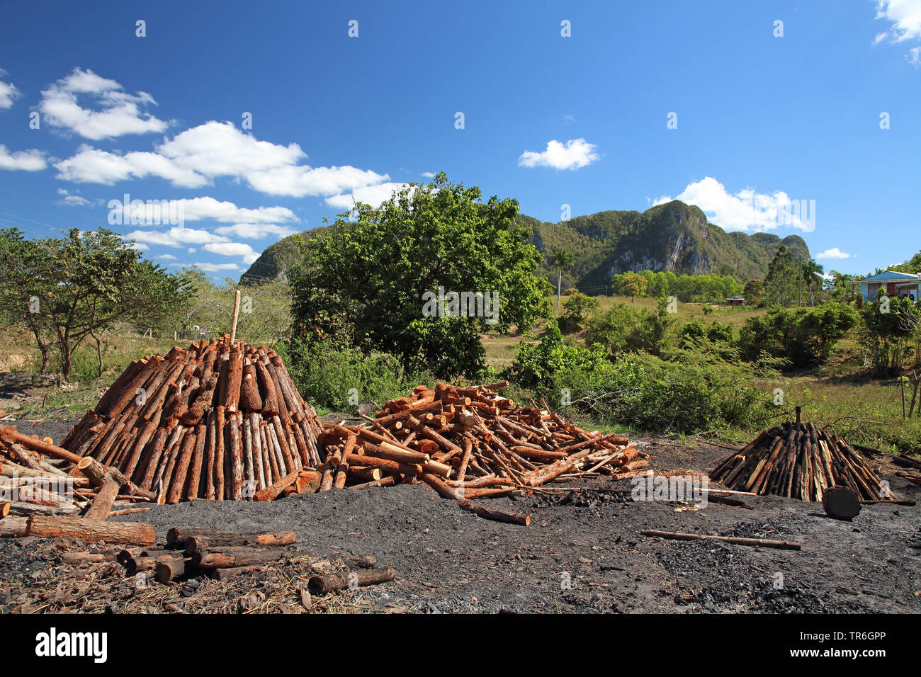 wood  charcoal kiln in the national park, Cuba, La Guira National Park Stock Photo