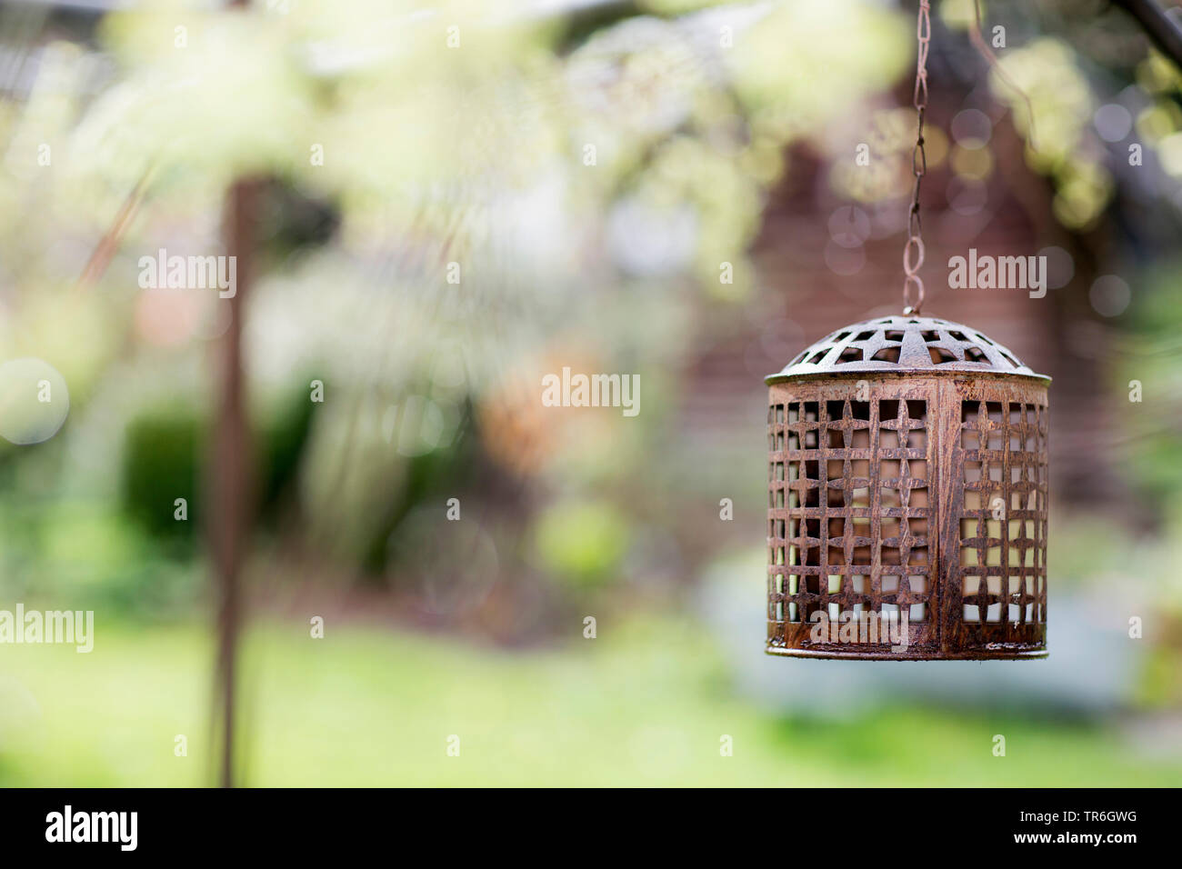 hanging candleholder in a garden, Germany Stock Photo