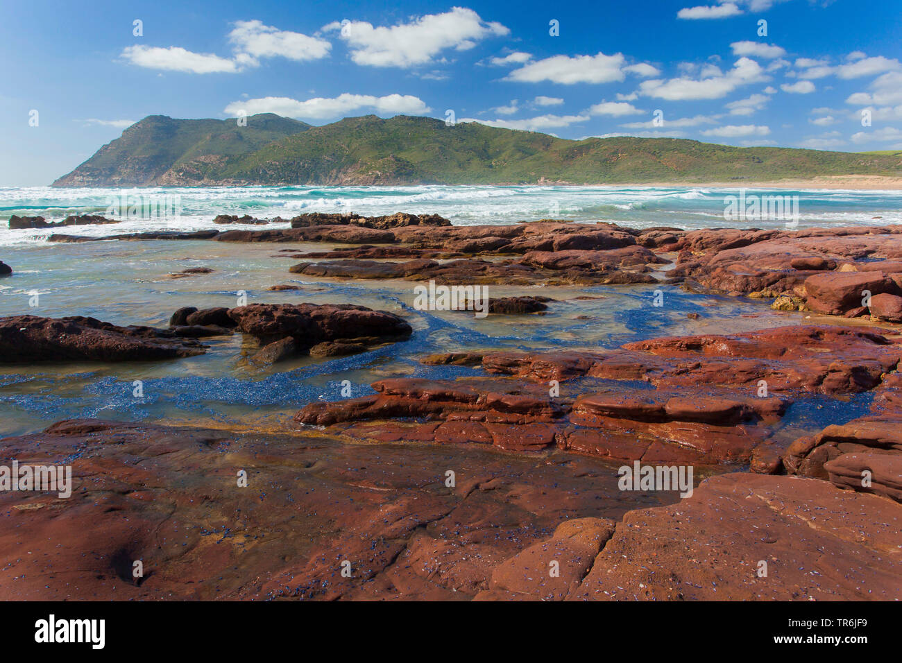 Spiaggia Porto Ferro Bay Italy Sardegna Alghero Stock