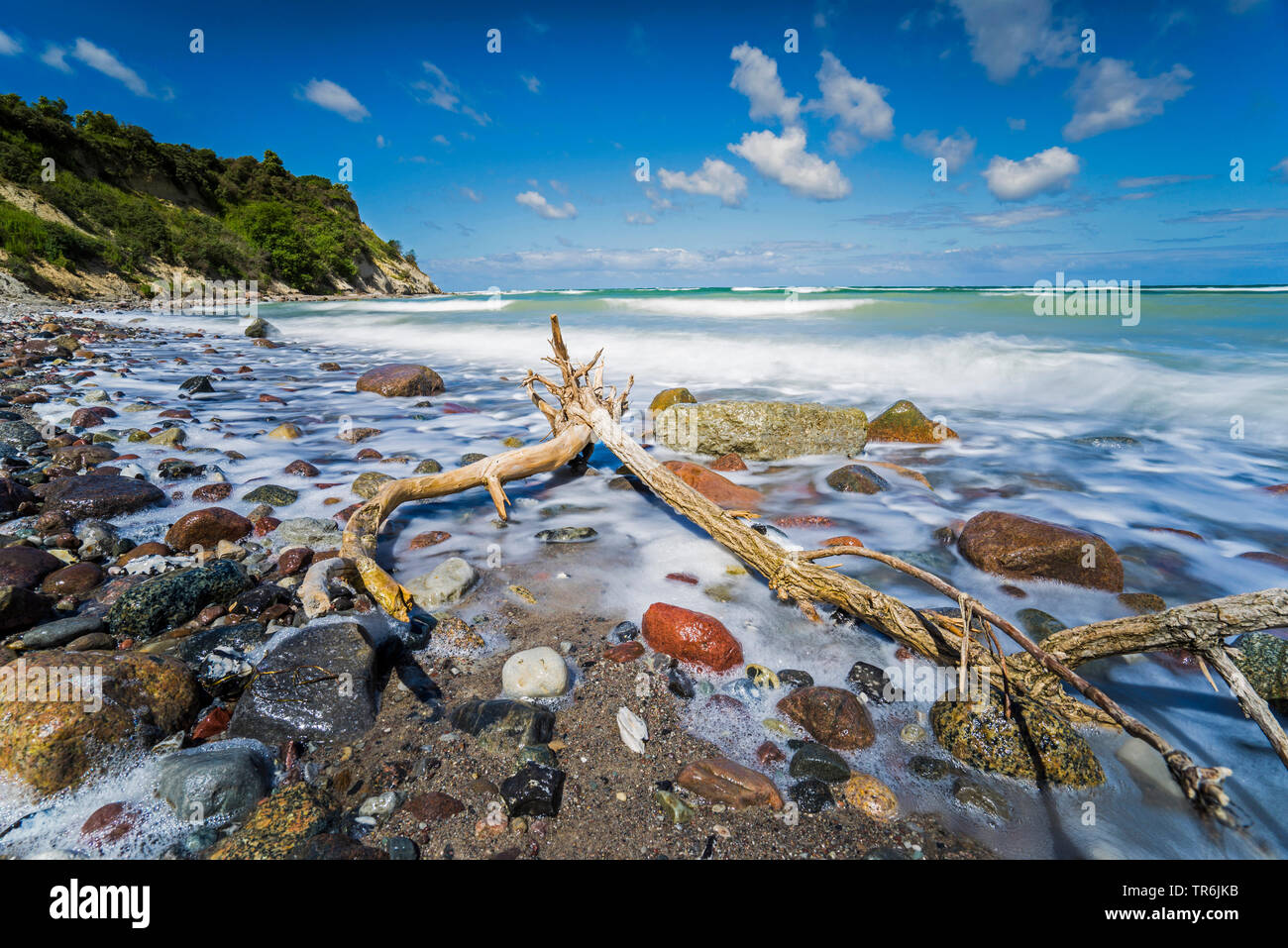 dead tree washes up in the braking waves at the Baltic Sea with erratic blocks, Germany, Mecklenburg-Western Pomerania, Darsser Weststrand Stock Photo