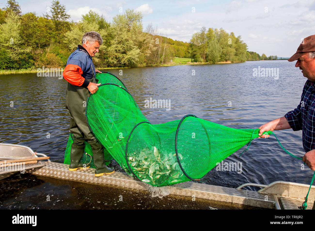 bow net fishing in a lake, Germany, Bavaria, Brombachspeichersee Stock Photo