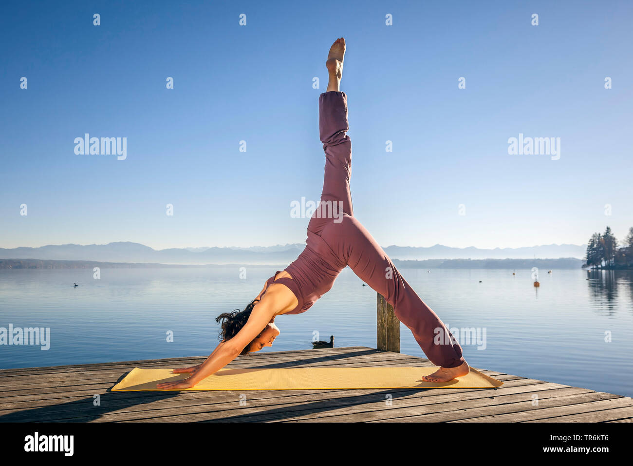 woman doing yoga exercises at a lake. leg high, downward facing dog, Germany, Bavaria Stock Photo