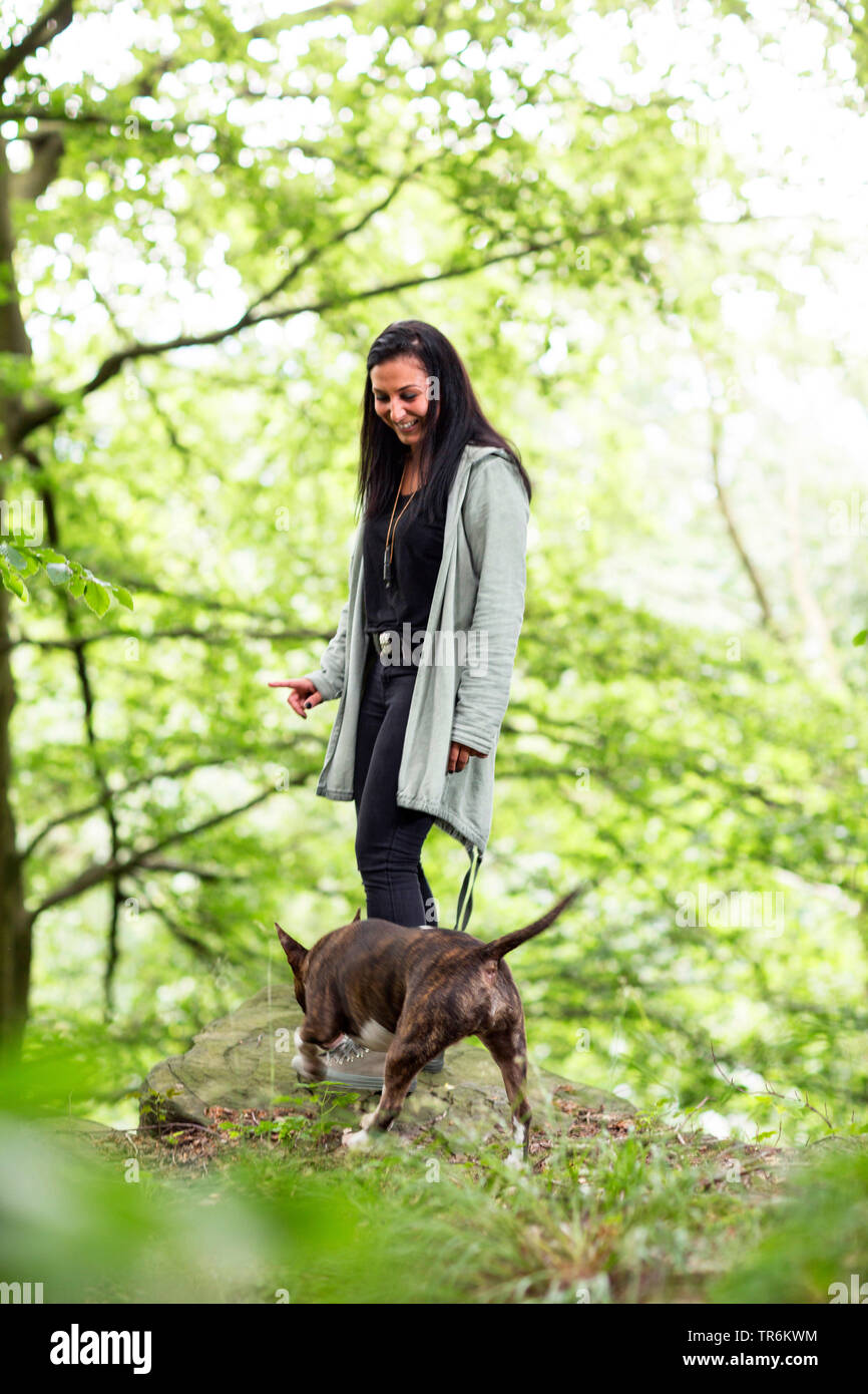Bull Terrier (Canis lupus f. familiaris), young woman with bull terrier in a forest, Germany Stock Photo