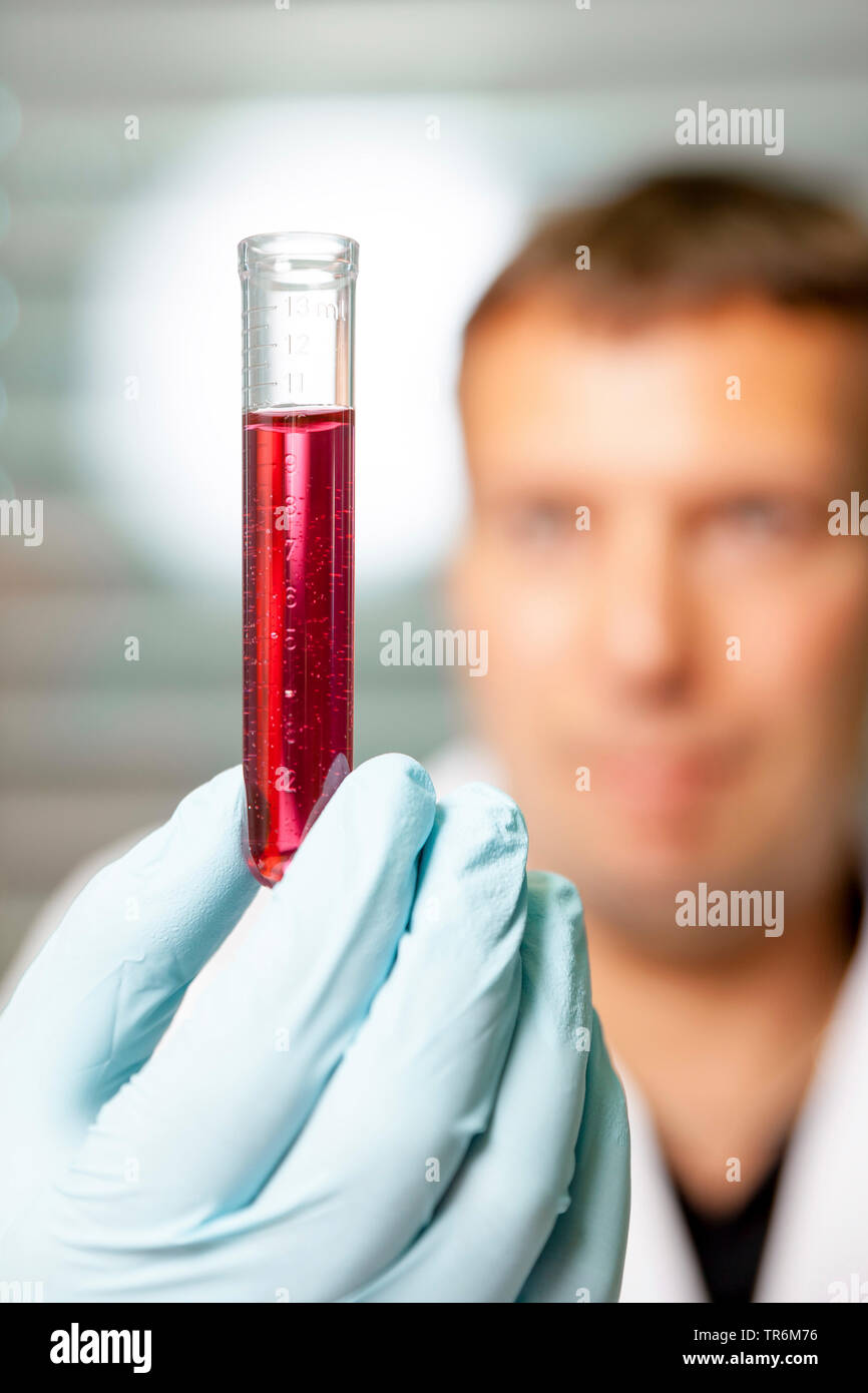 test tube with red fluid in the hand of a laboratory assistant, Germany Stock Photo Alamy