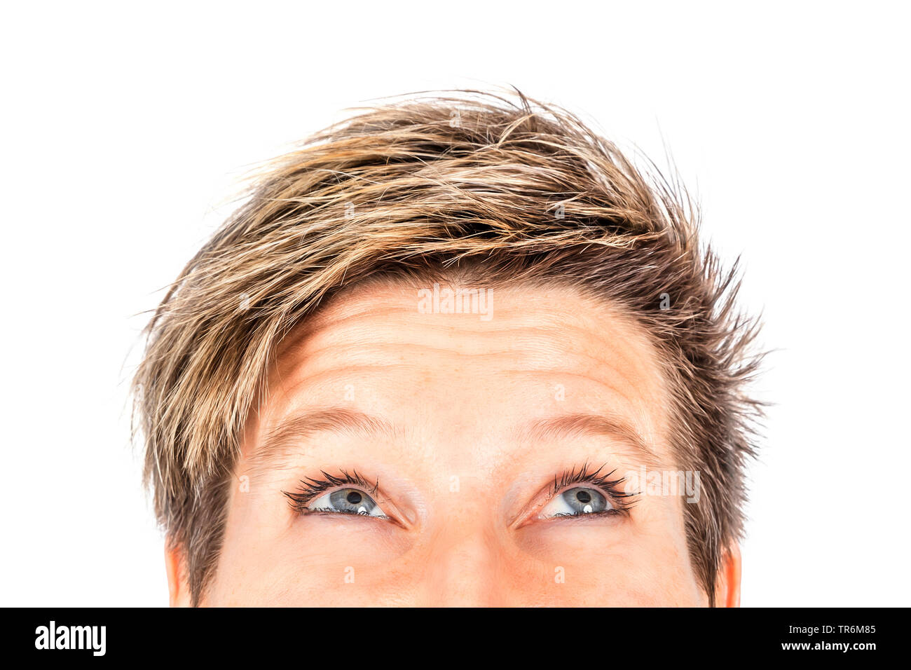 looking up woman, section, Germany Stock Photo