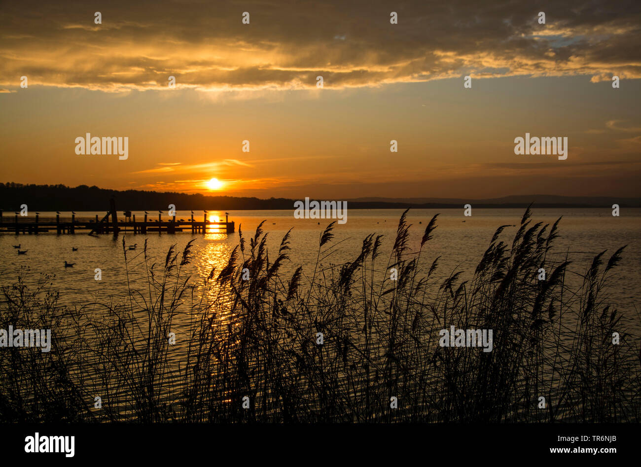 sunset at Lake Steinhuder Meer, Germany, Lower Saxony Stock Photo
