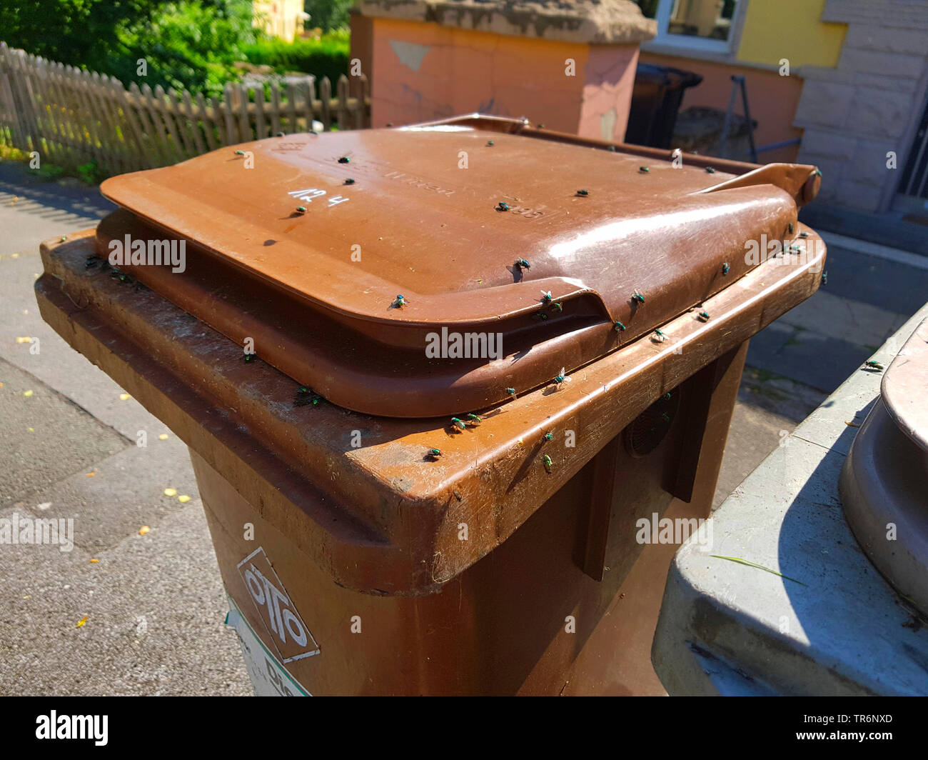 Organic waste hires stock photography and images Alamy
