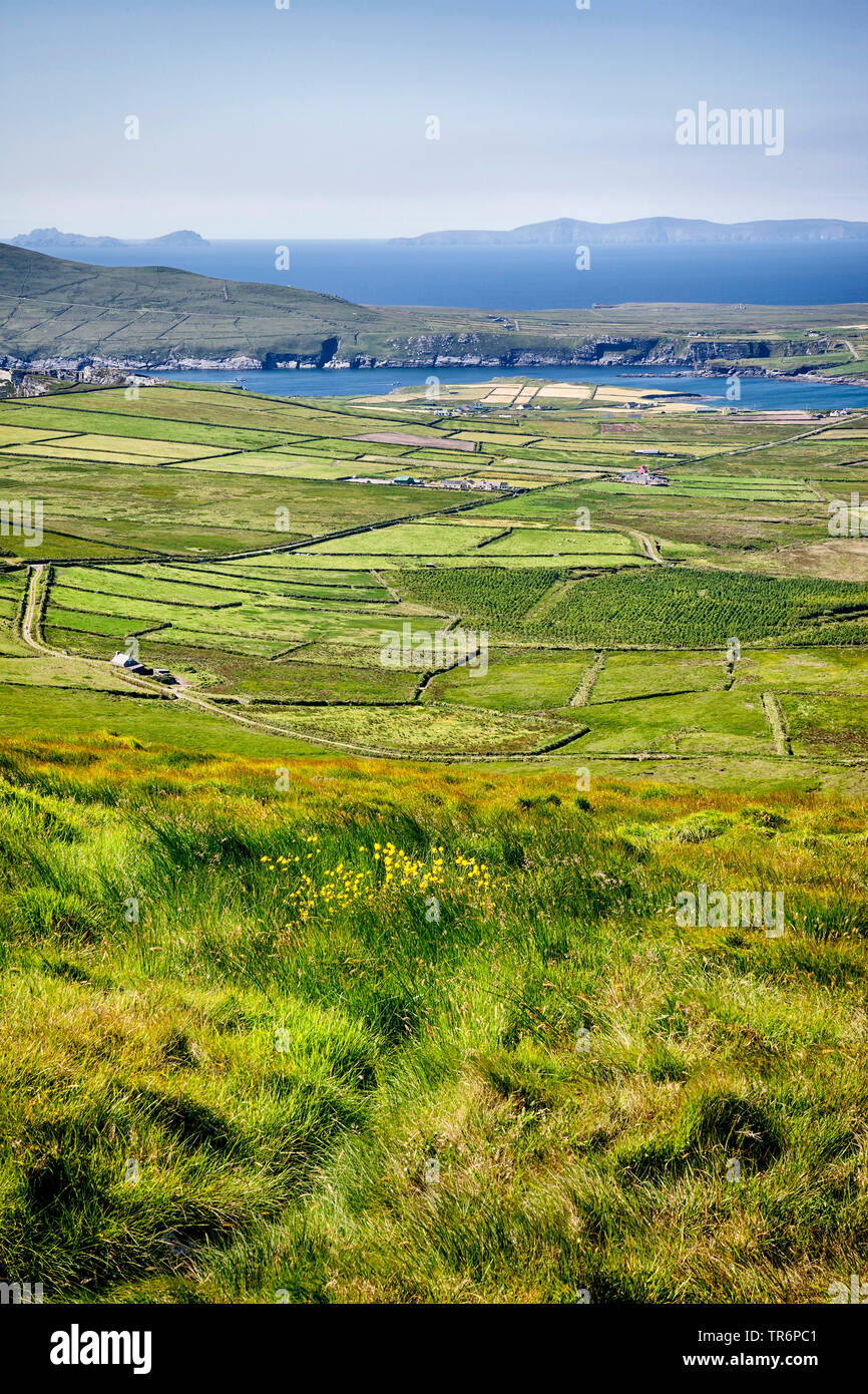 landscape on Valentia island, Ireland, Valentia Island Stock Photo Alamy