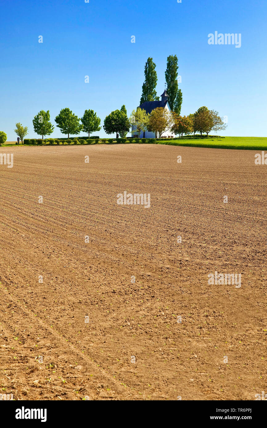 field landscape with little chapel Heilig-Kreuz-Kapelle, Germany, Rhineland-Palatinate, Eifel, Mertloch Stock Photo